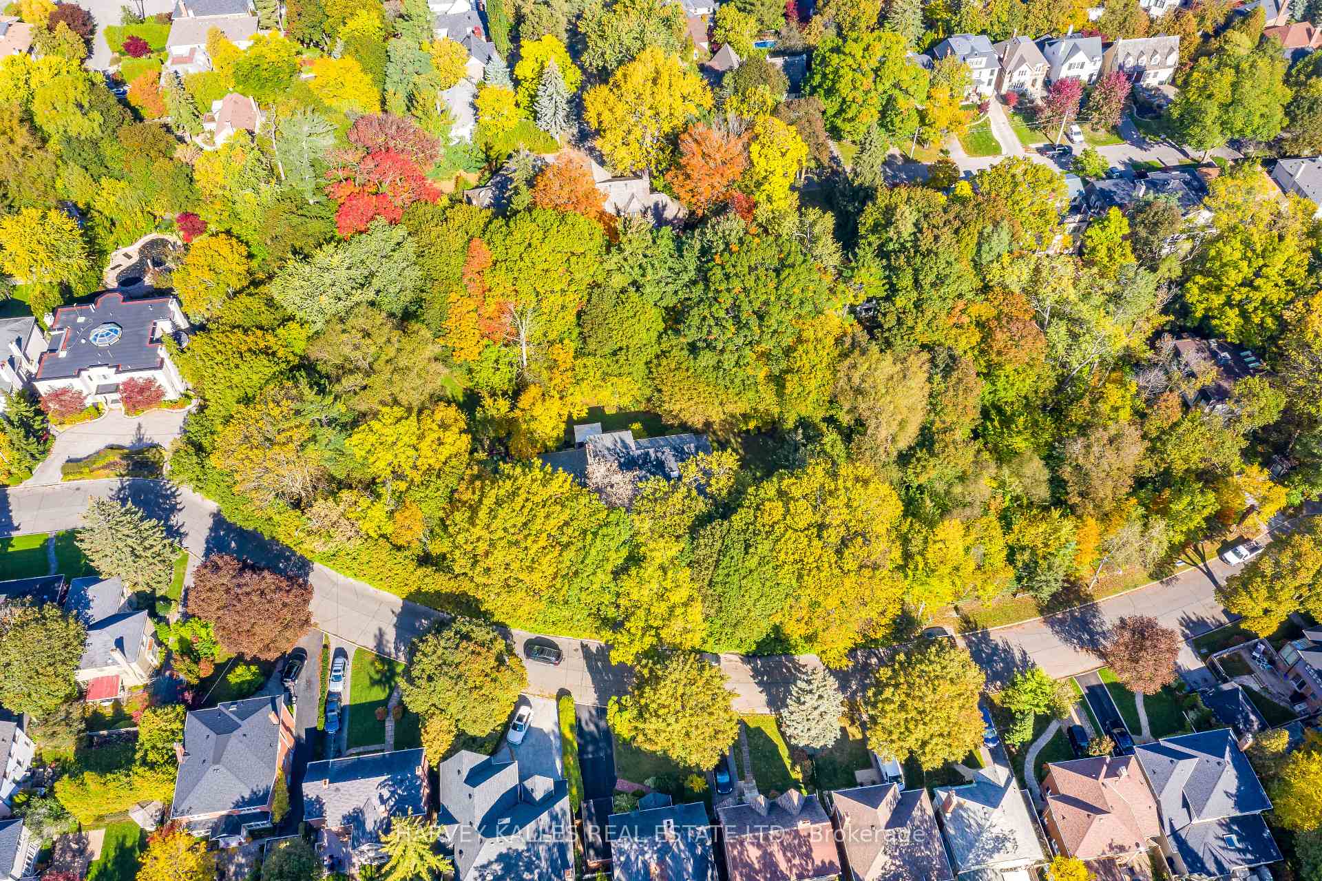 Photo 4 of 77 Coldstream Avenue, Toronto, Lawrence Park South — HOMEH