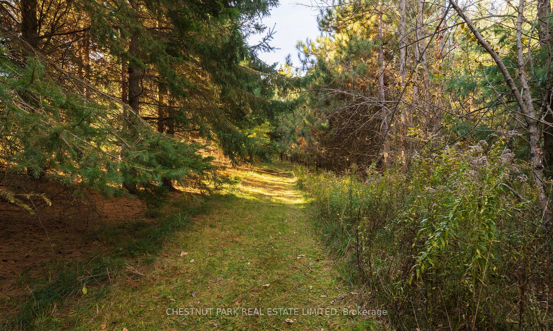 Photo 26 of 796224 3rd Line E, Mulmur, Rural Mulmur — HOMEH