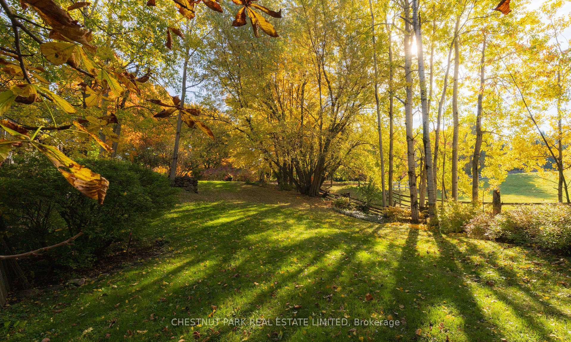 Photo 35 of 796224 3rd Line E, Mulmur, Rural Mulmur — HOMEH