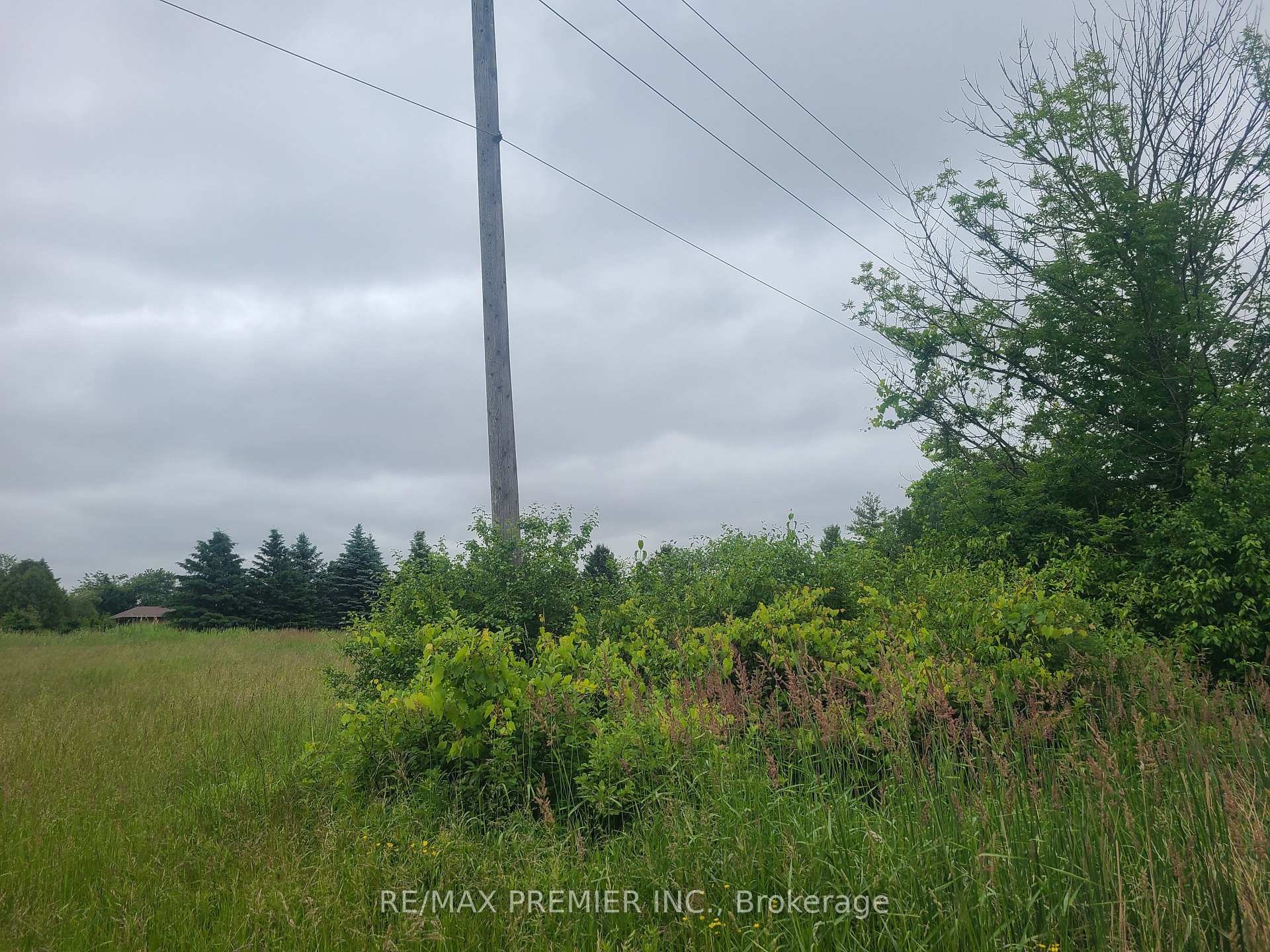 Photo 3 of 11307 Pine Valley Drive, Vaughan, Kleinburg — HOMEH