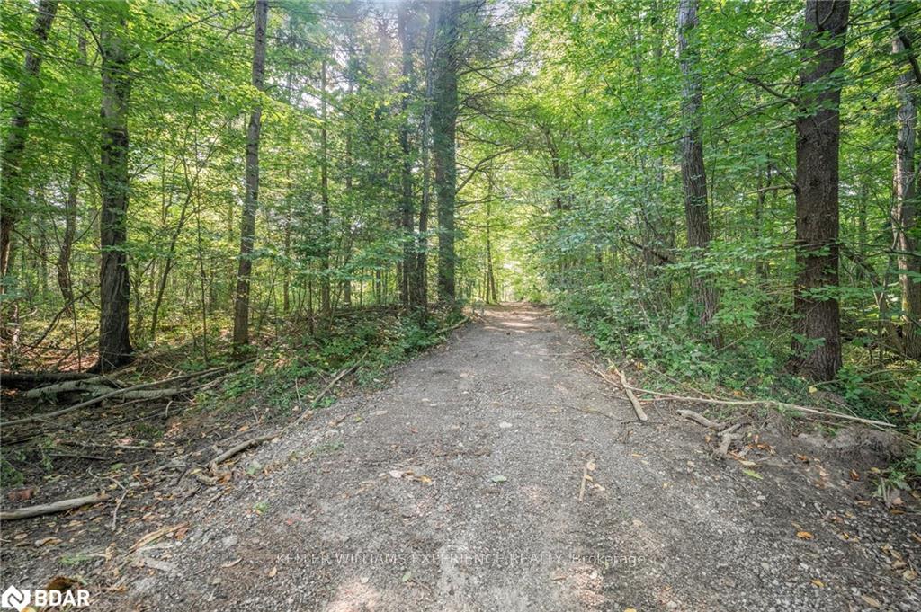 Photo 36 of 2067 Matheson Road E, Springwater, Phelpston — HOMEH