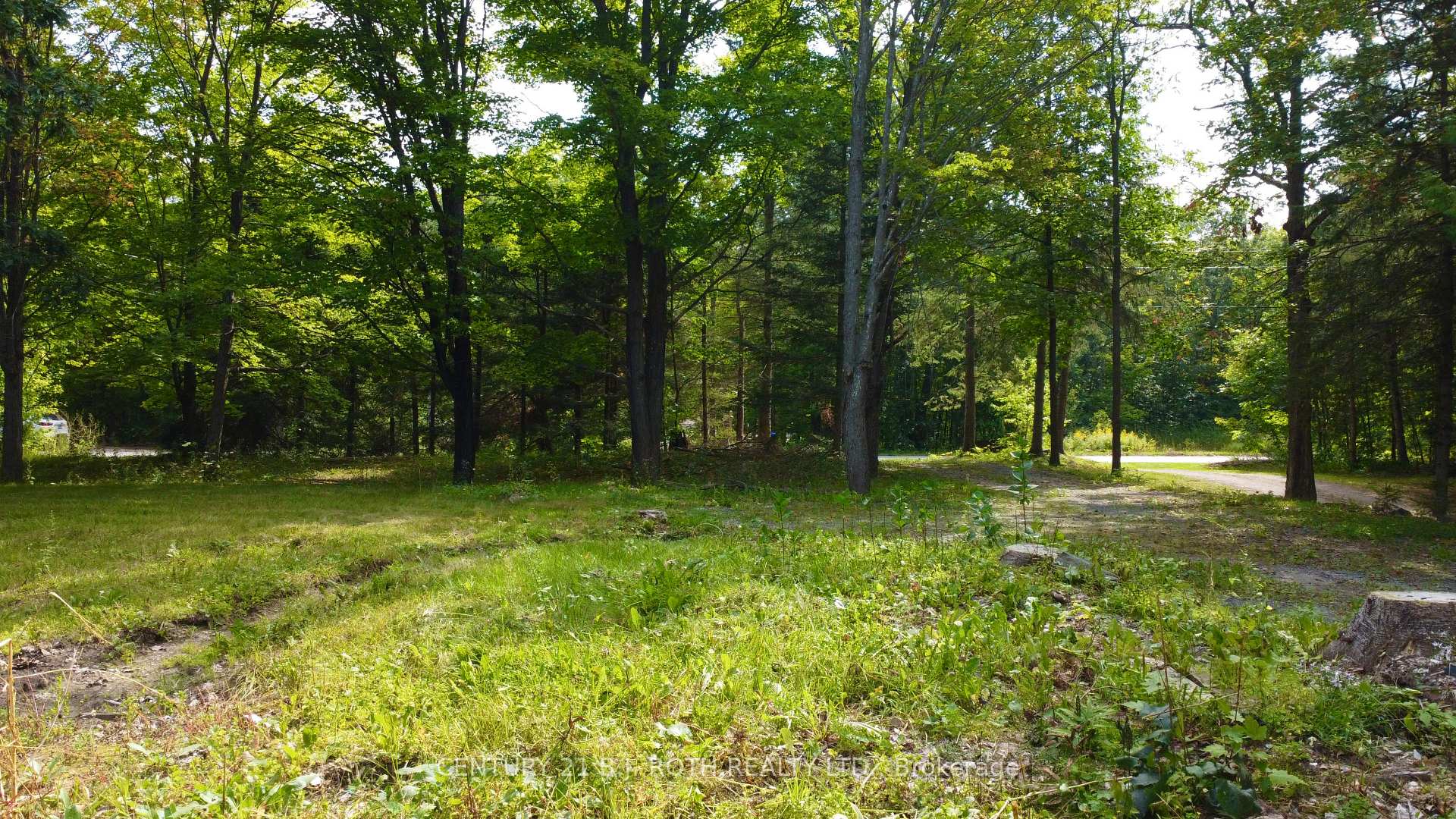 Photo 11 of 7806 Birch Drive, Ramara, Rural Ramara — HOMEH