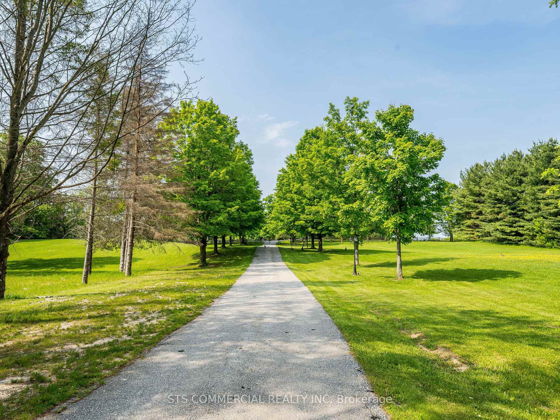 Photo 4 of 14929 Mount Plesant Road, Caledon, Rural Caledon — HOMEH