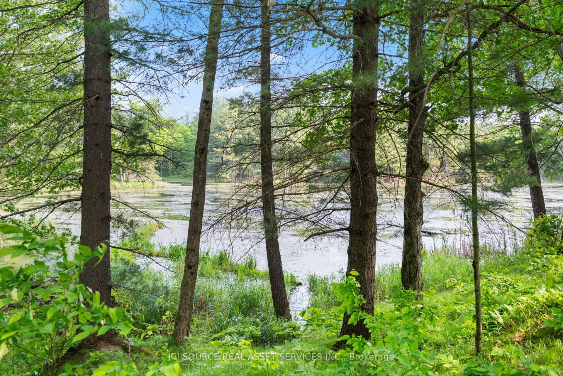 Photo 6 of 1093 Althorpe Road, Tay Valley, Bathurst/Burgess & Sherbrooke (South Sherbrooke) Twp — HOMEH