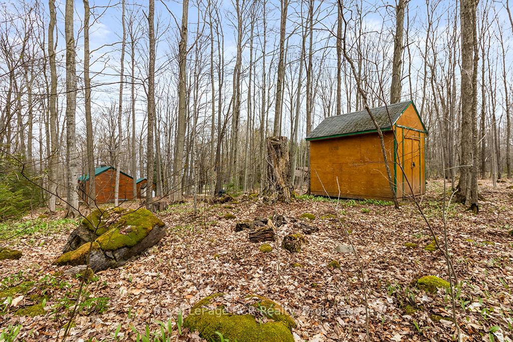 Photo 41 of 262 Canrobert Street, Grey Highlands — HOMEH