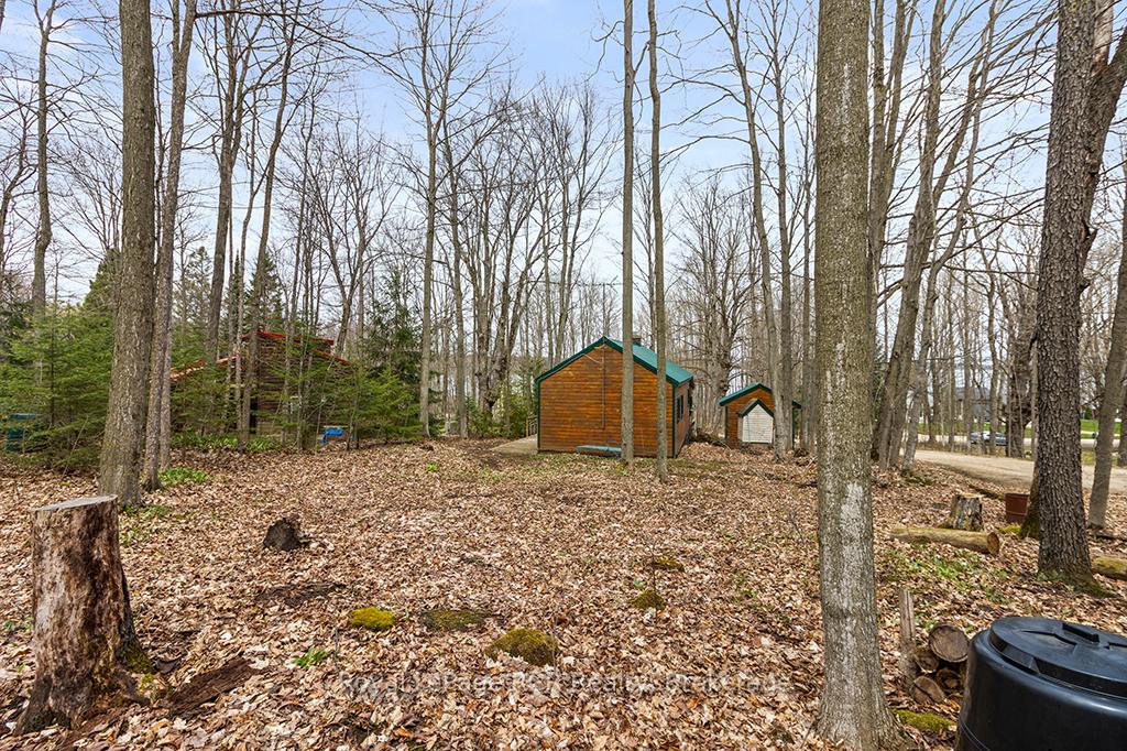 Photo 42 of 262 Canrobert Street, Grey Highlands — HOMEH