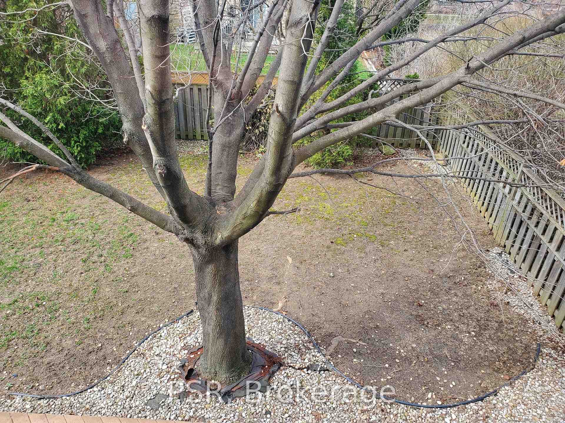 Photo 14 of Unit Main Fl, 150 Magnolia Drive, Hamilton, Fessenden — HOMEH