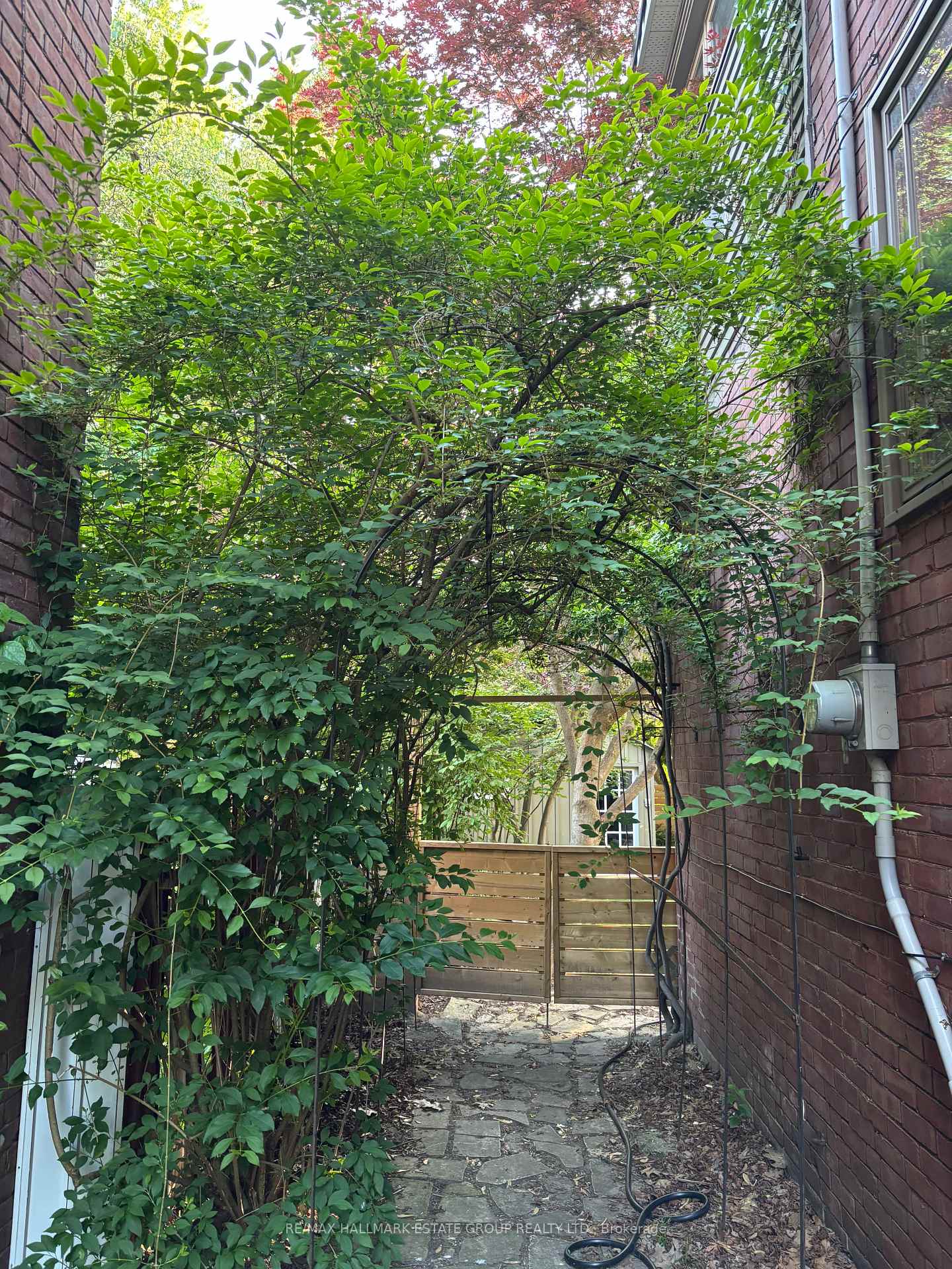 Photo 21 of 62 Hambly Avenue, Toronto, The Beaches — HOMEH