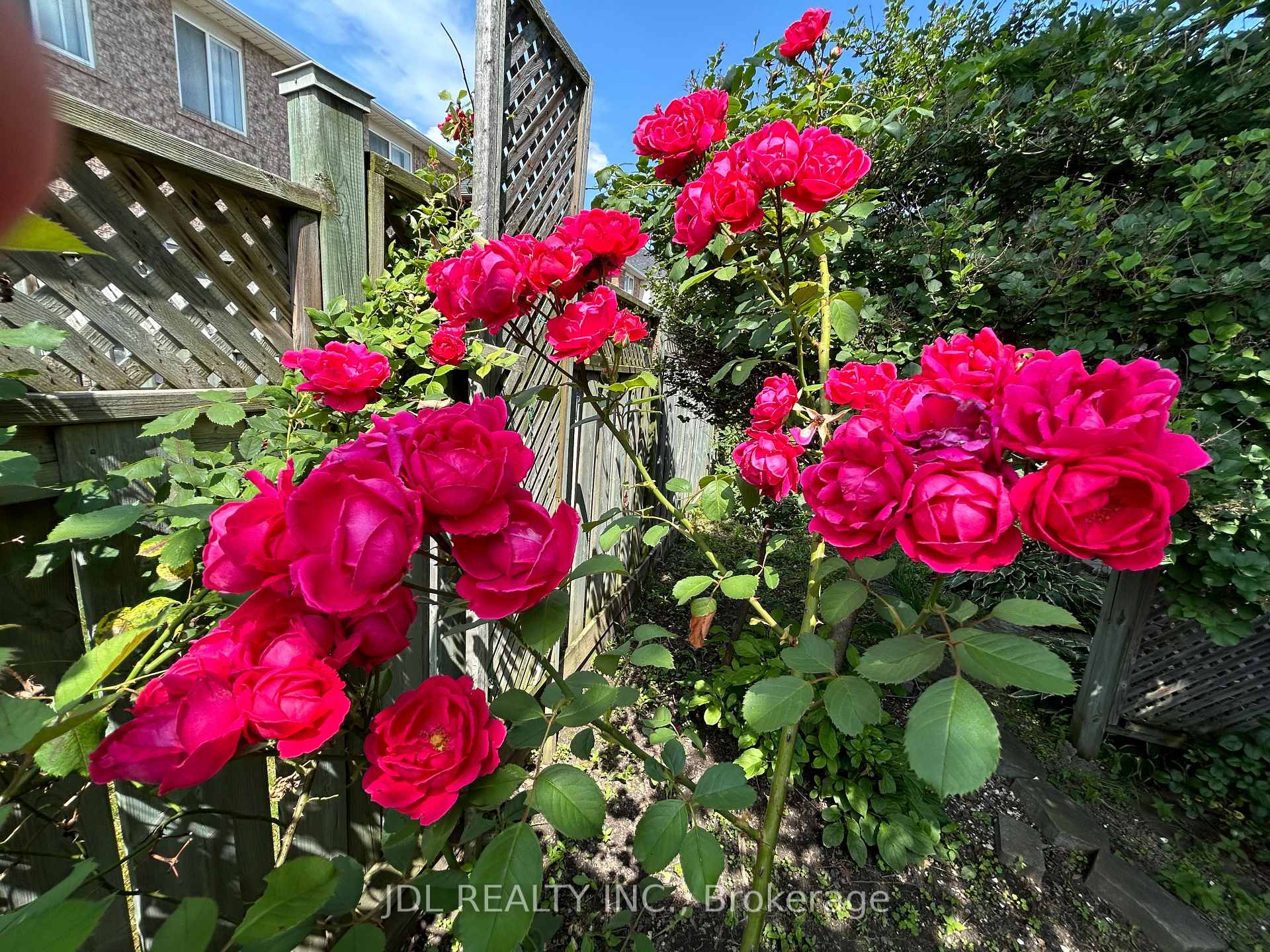 Photo 14 of 14 Redbud Street, Markham, Wismer — HOMEH