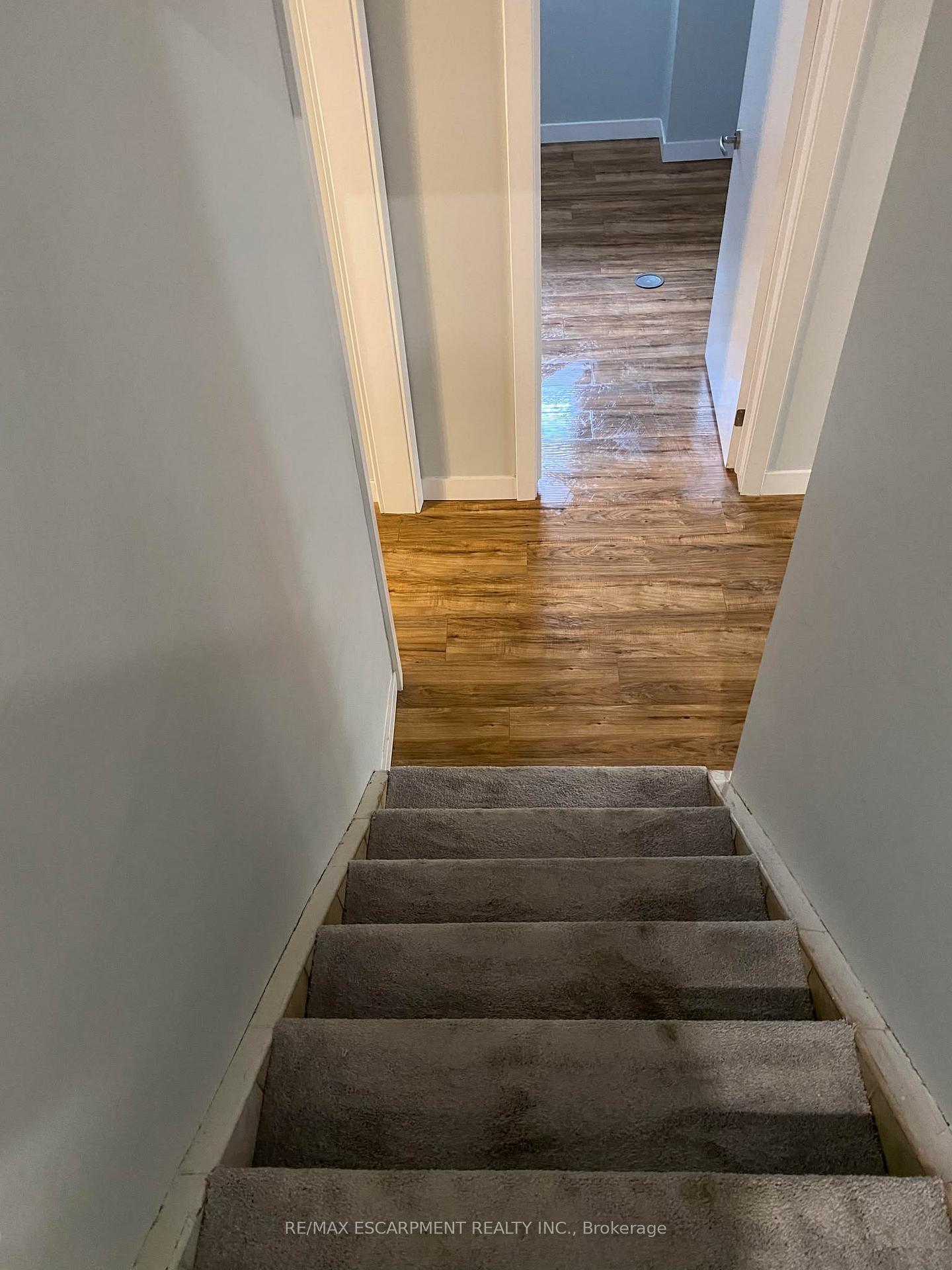 Photo 3 of Unit LOWER, 3 Penlake Court, Hamilton, Westcliffe — HOMEH