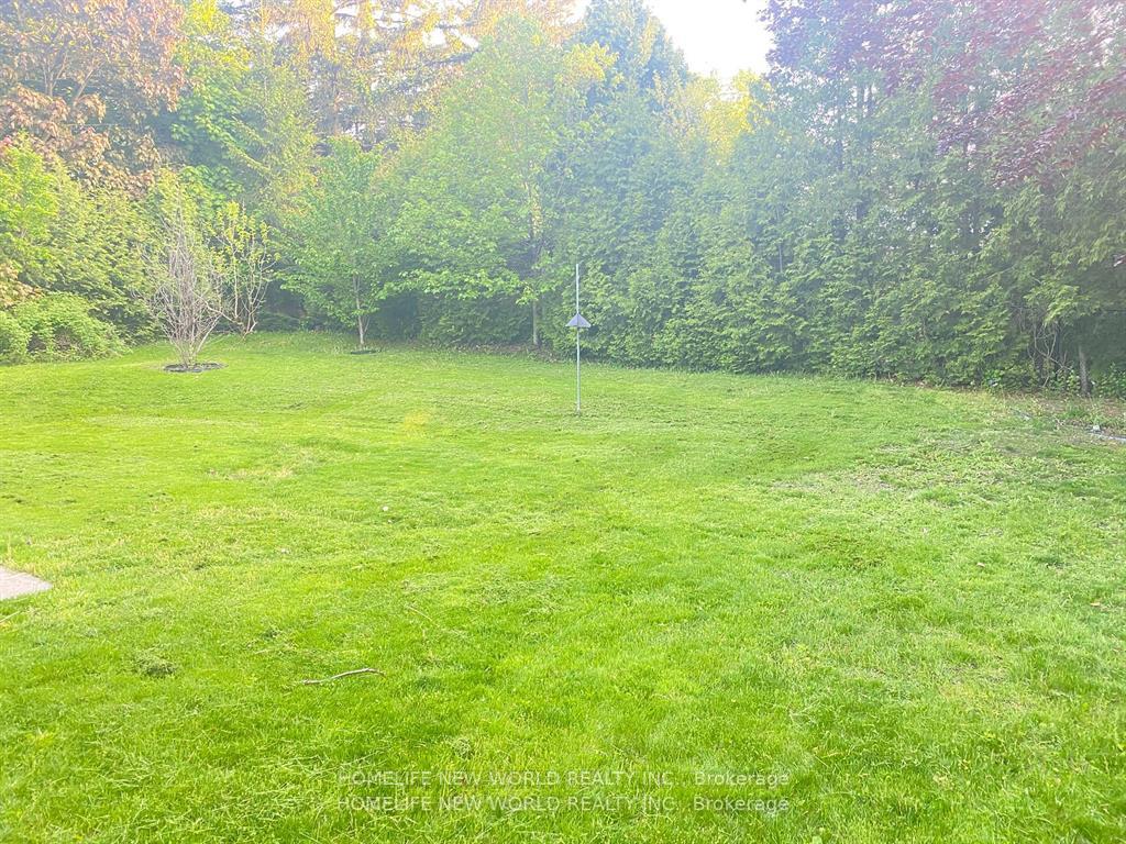 Photo 8 of Unit lower, 22 Markham Road, Scarborough, Scarborough Village — HOMEH