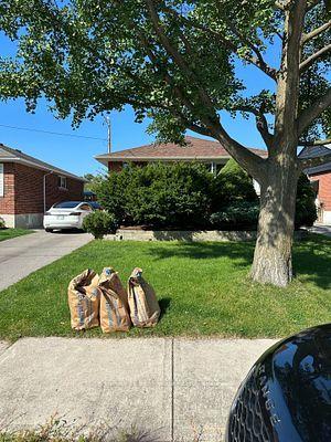 Photo 1 of 37 Welbourn Drive, Hamilton, Balfour — HOMEH