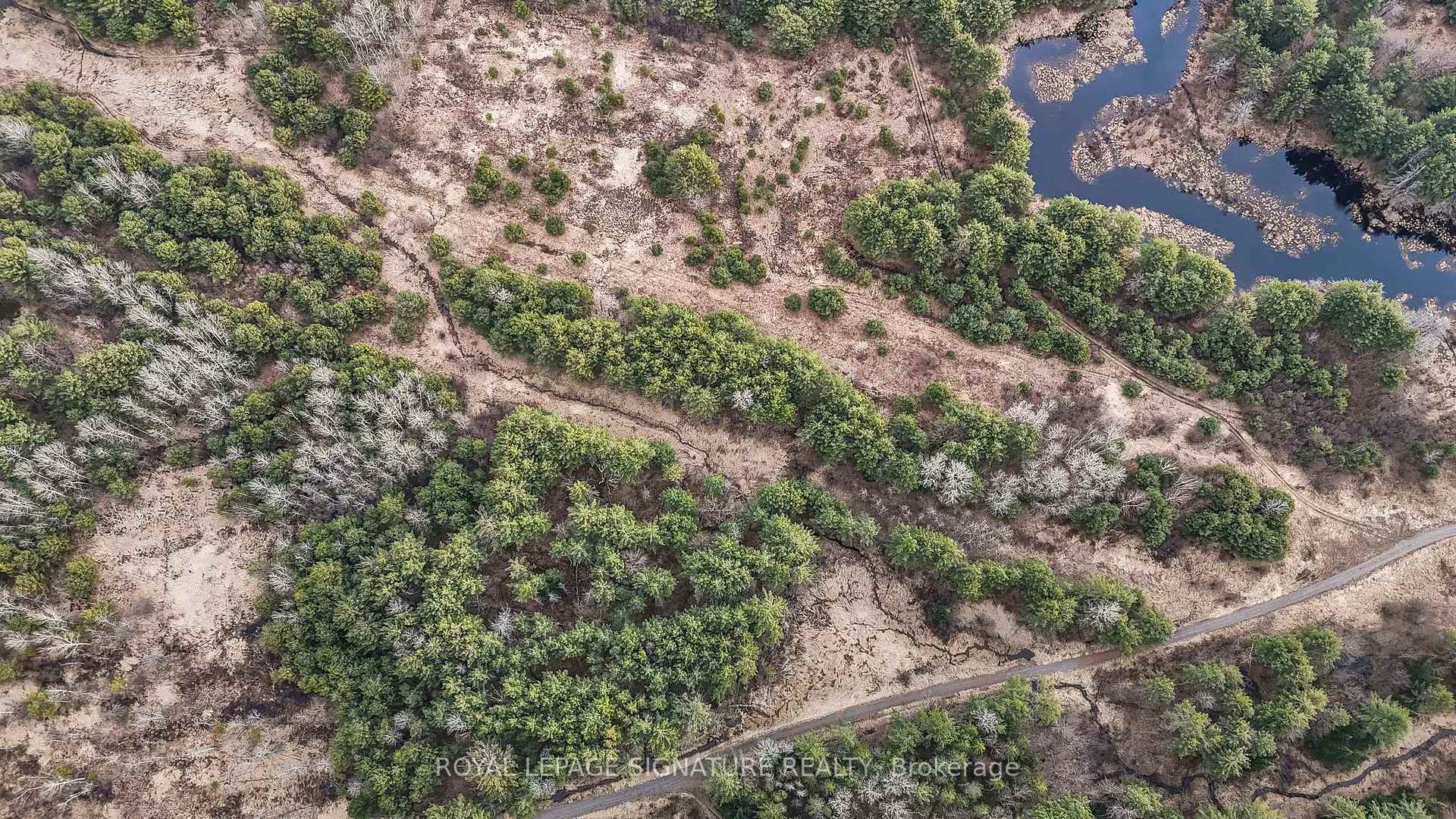 Photo 40 of 1061 Taverner Road, Gravenhurst, Muskoka (S) — HOMEH