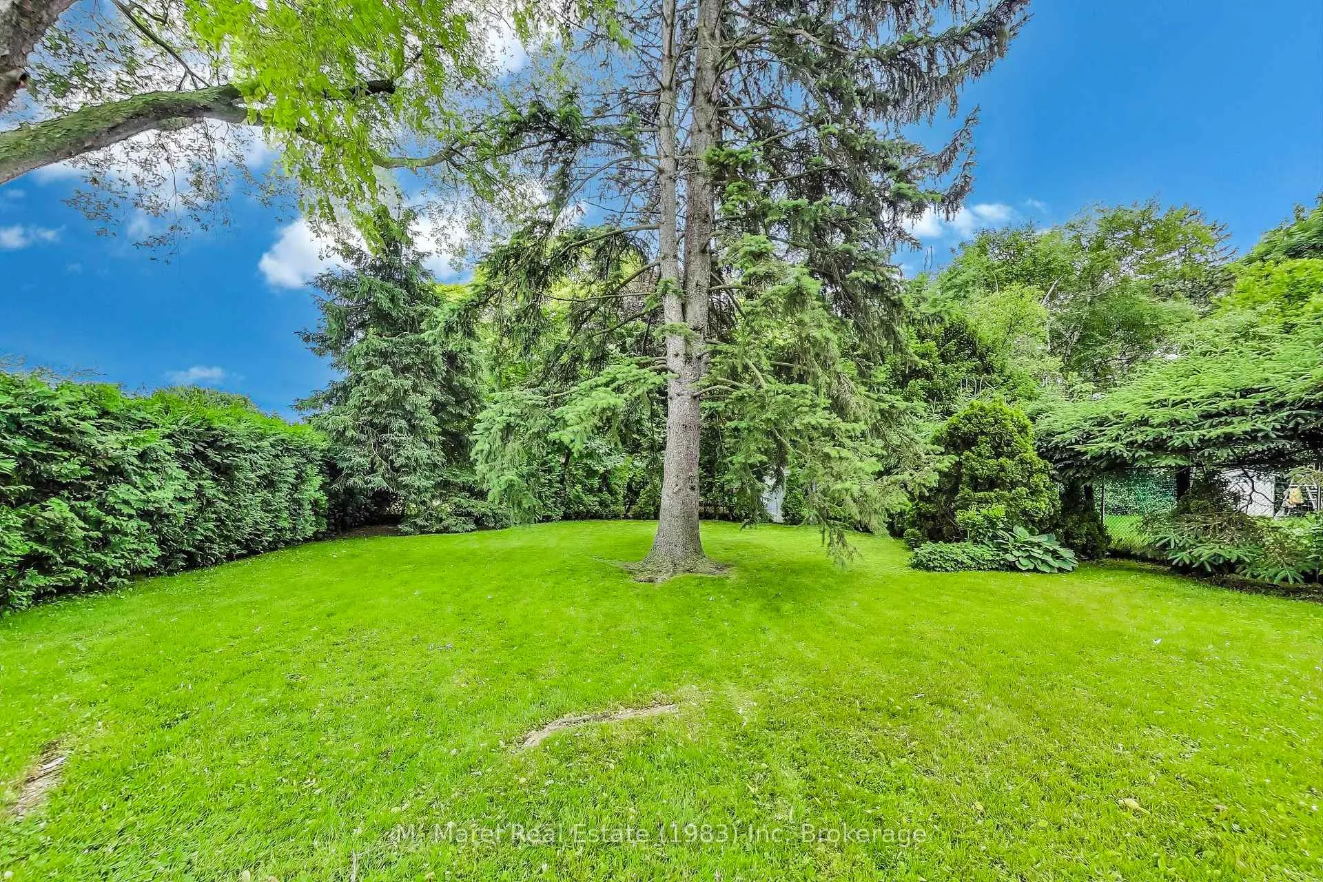 Photo 34 of 9 Avalon Avenue, Hamilton, Stoney Creek — HOMEH