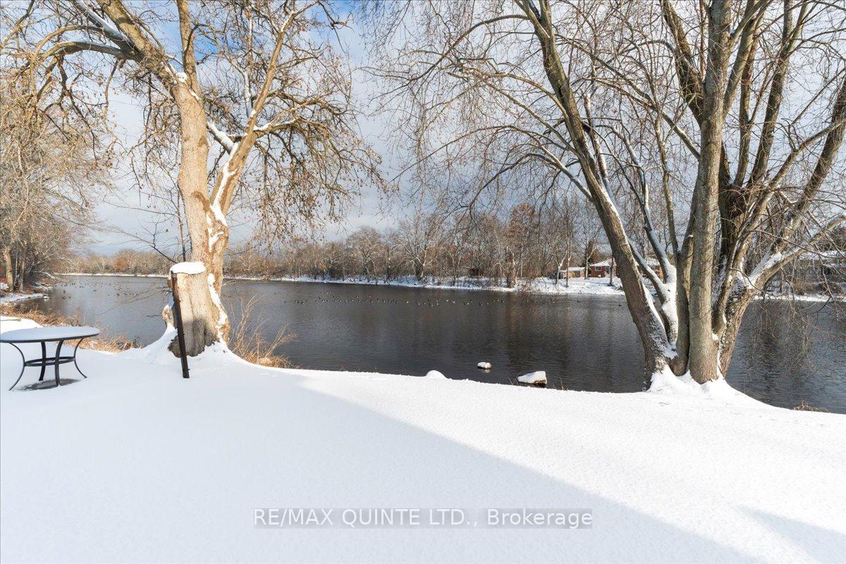 Photo 6 of 244 Ashley Street, Belleville, Thurlow Ward — HOMEH