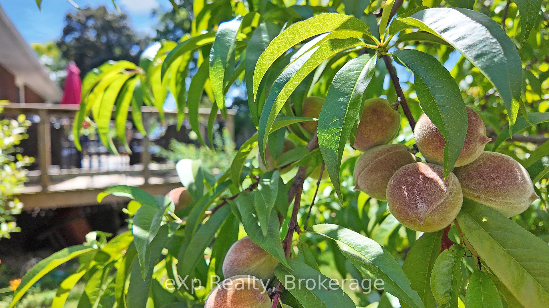 Photo 40 of 238 4th Avenue, Hanover — HOMEH