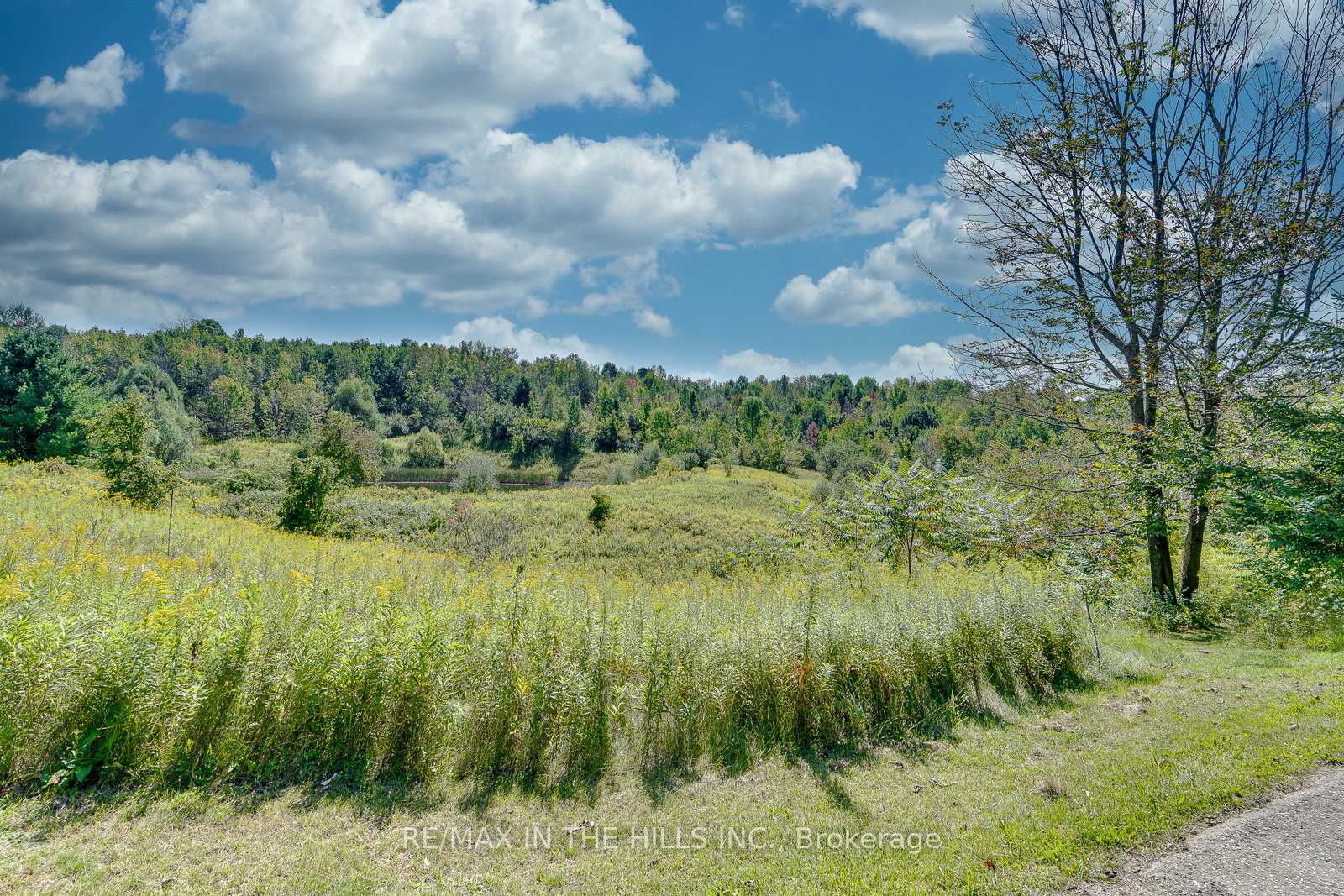 Photo 25 of 627450 15th Side Road, Mulmur, Rural Mulmur — HOMEH