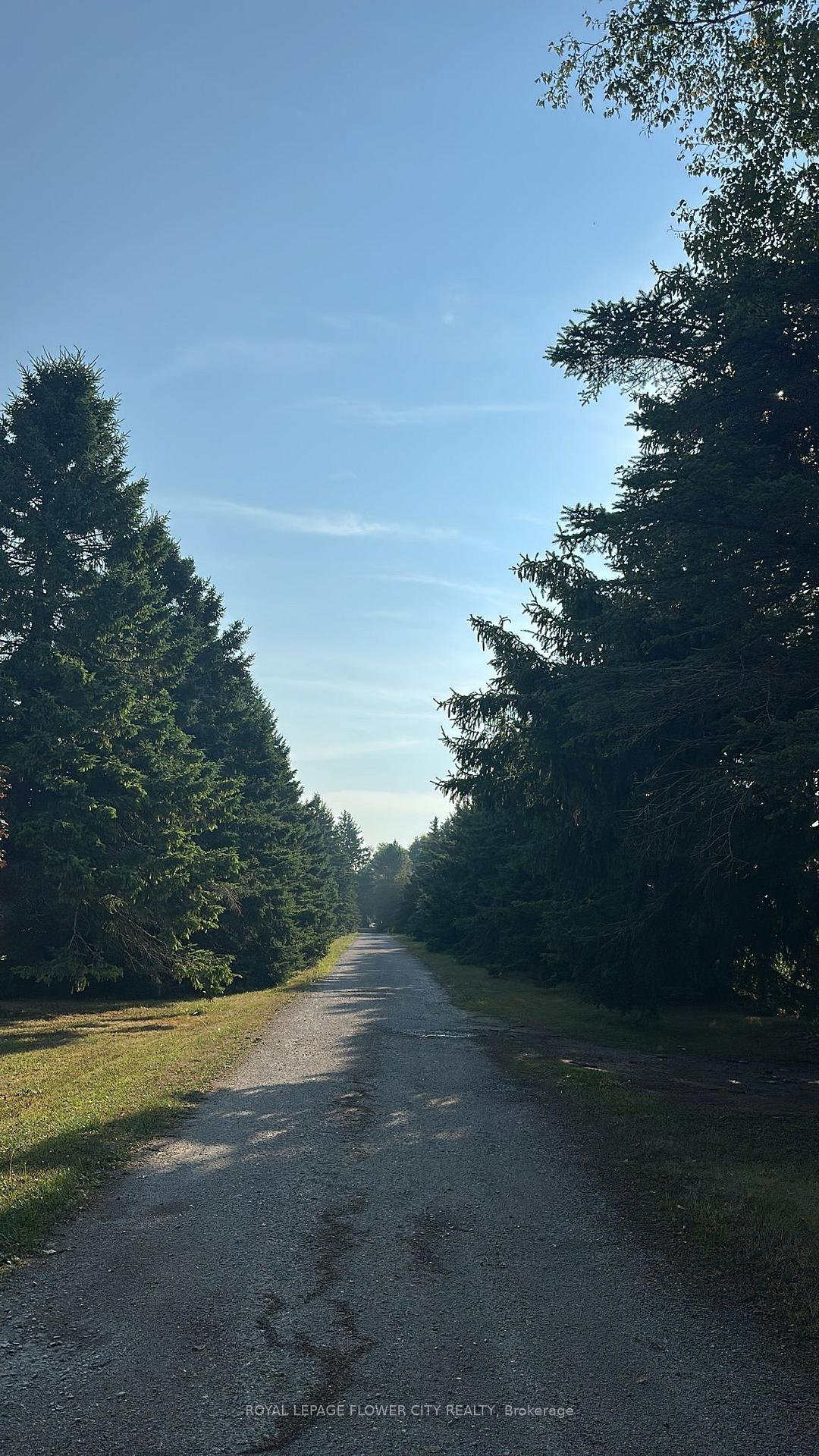 Photo 4 of 7076 5th side Road N, Innisfil, Cookstown — HOMEH