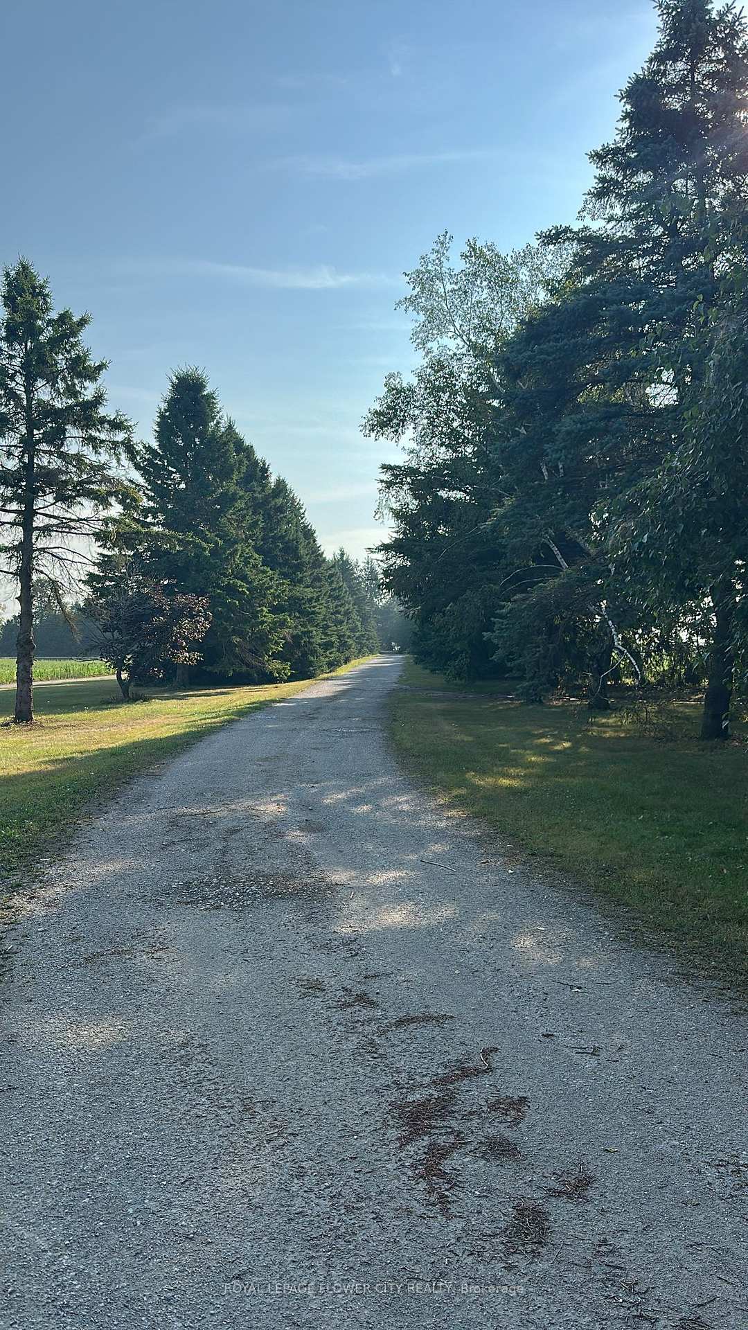 Photo 30 of 7076 5th side Road N, Innisfil, Cookstown — HOMEH