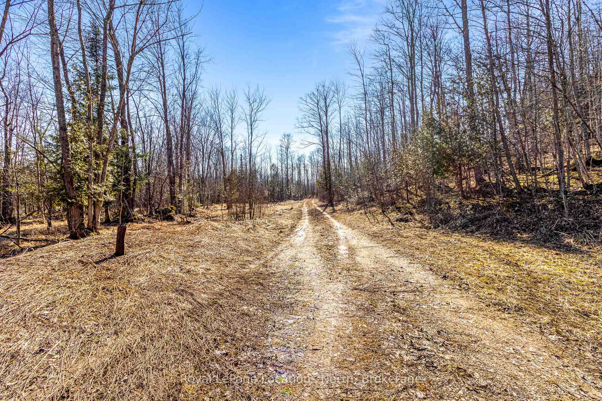 Photo 5 of 825141 Grey Road 40, Grey Highlands — HOMEH