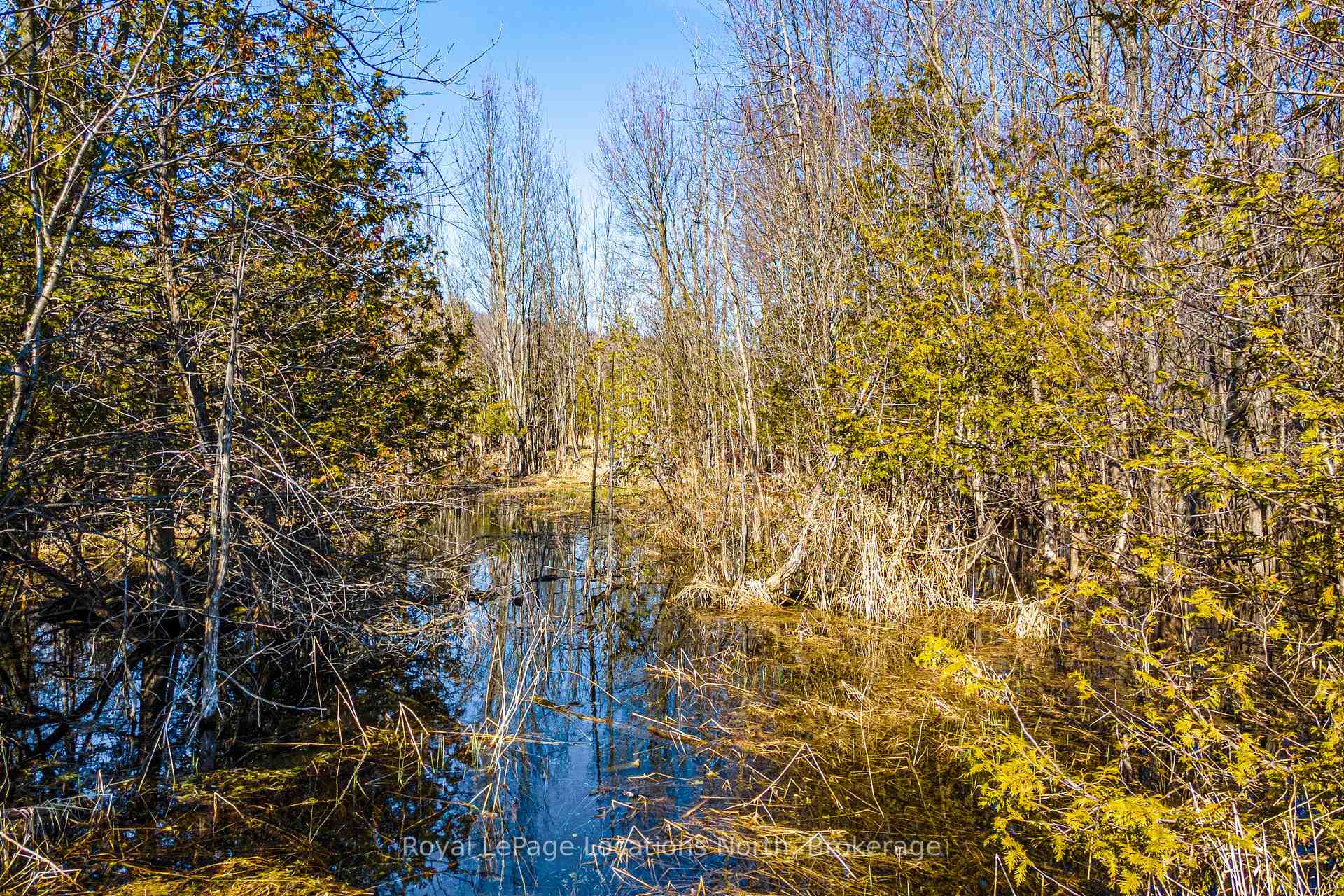 Photo 6 of 825141 Grey Road 40, Grey Highlands — HOMEH