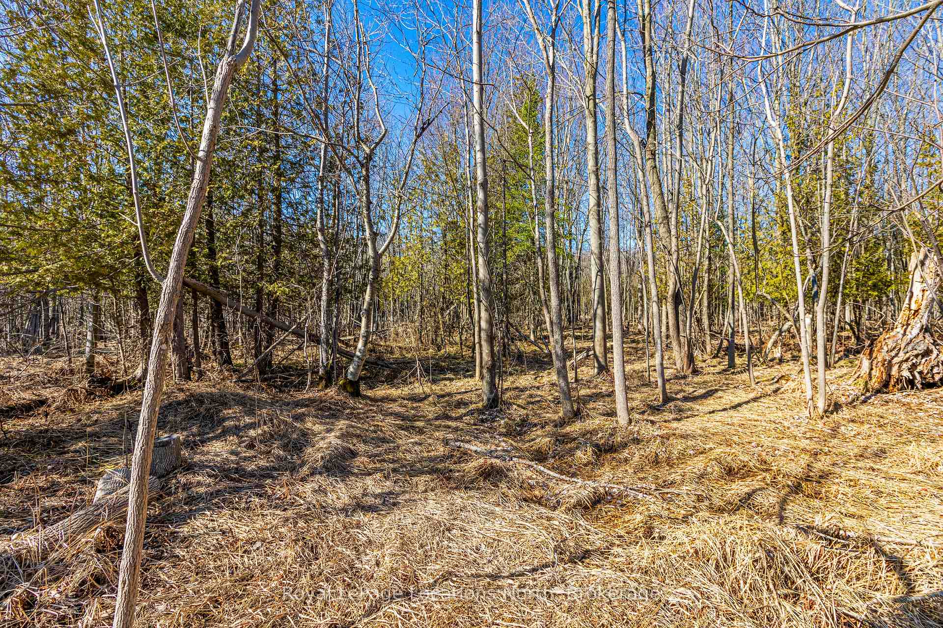 Photo 7 of 825141 Grey Road 40, Grey Highlands — HOMEH