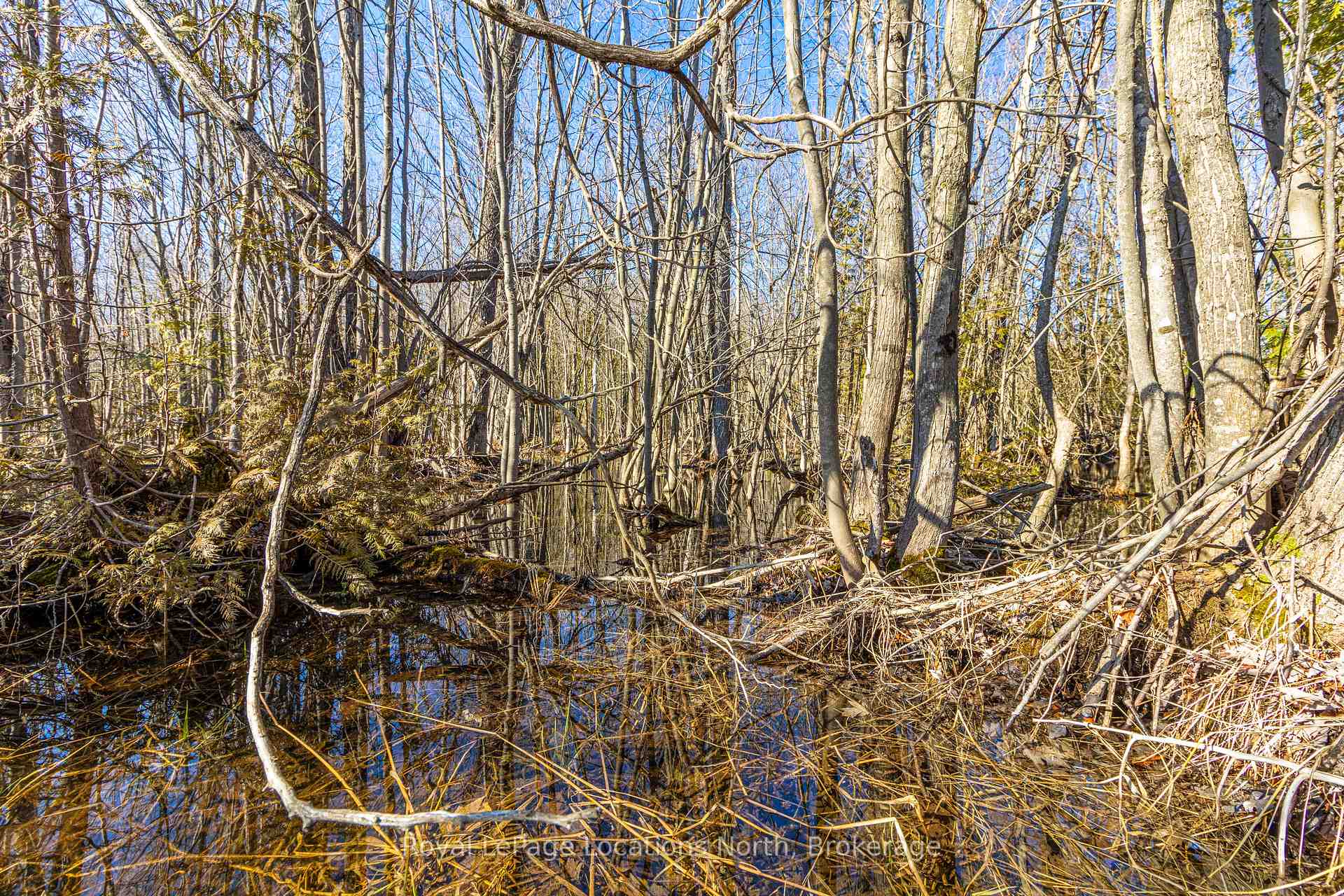 Photo 8 of 825141 Grey Road 40, Grey Highlands — HOMEH