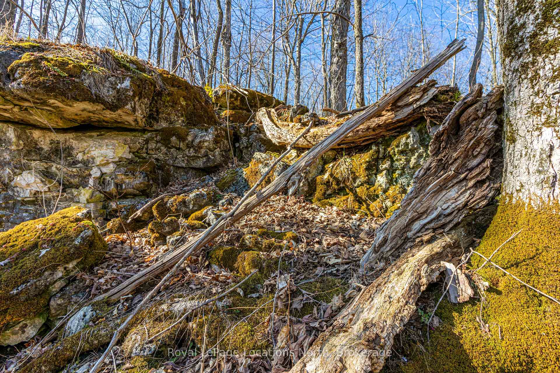 Photo 9 of 825141 Grey Road 40, Grey Highlands — HOMEH