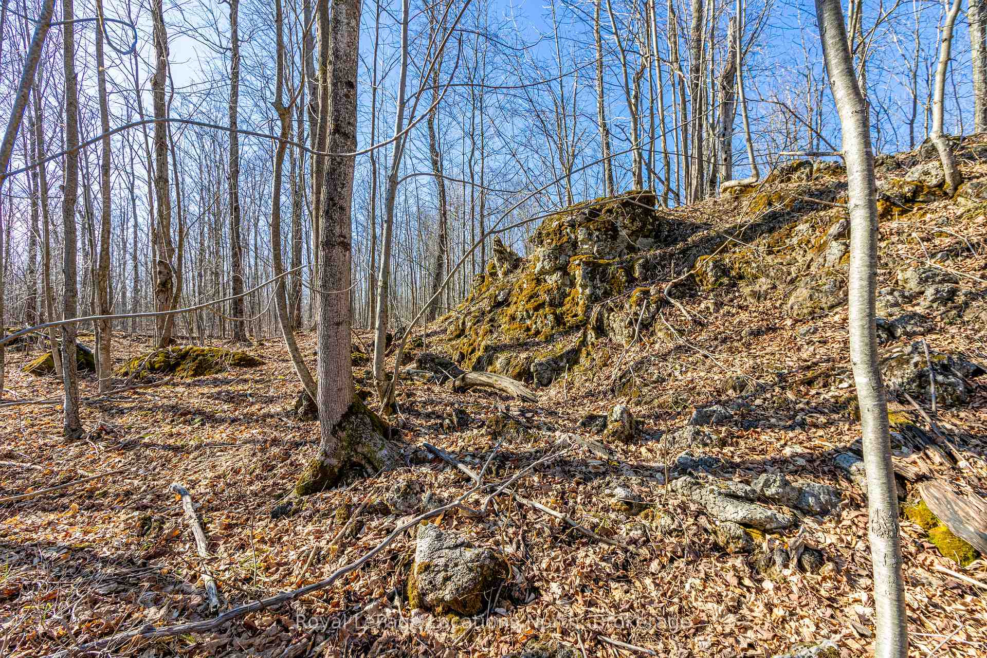 Photo 10 of 825141 Grey Road 40, Grey Highlands — HOMEH