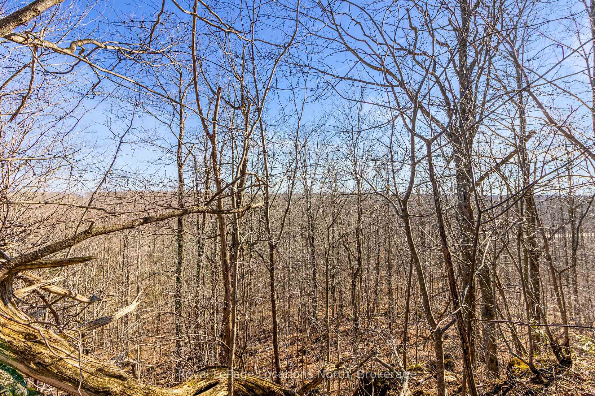 Photo 12 of 825141 Grey Road 40, Grey Highlands — HOMEH