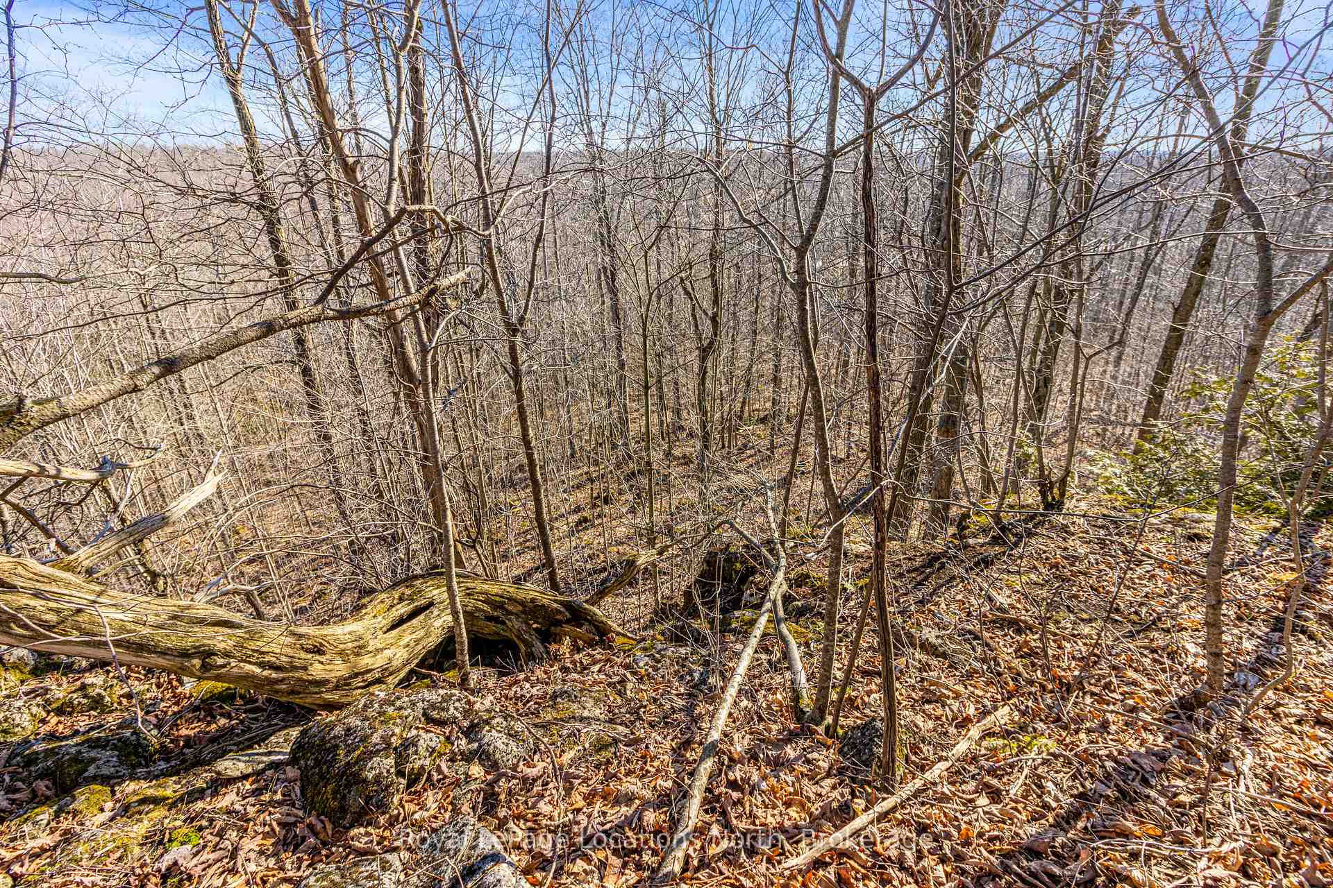 Photo 13 of 825141 Grey Road 40, Grey Highlands — HOMEH