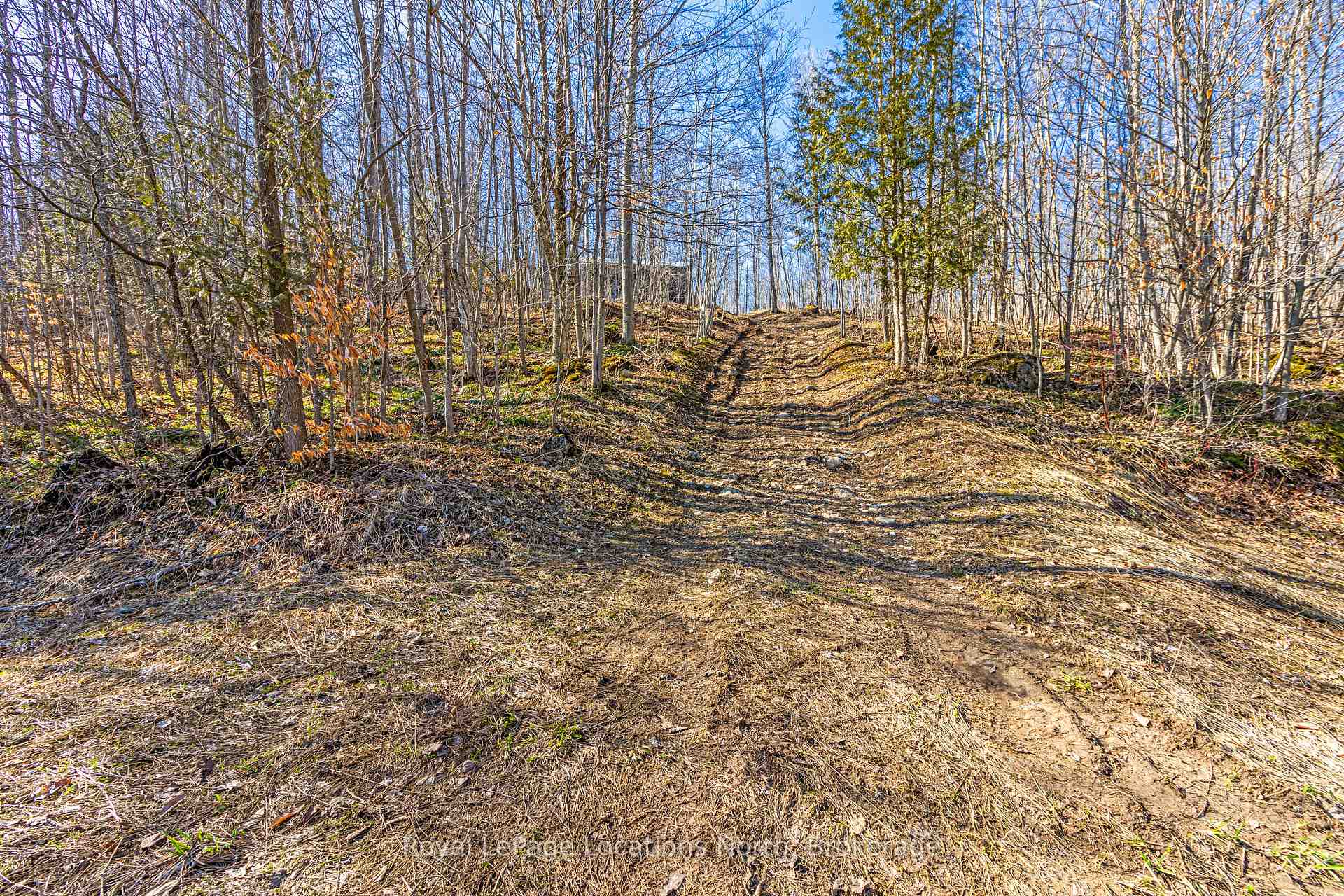 Photo 14 of 825141 Grey Road 40, Grey Highlands — HOMEH