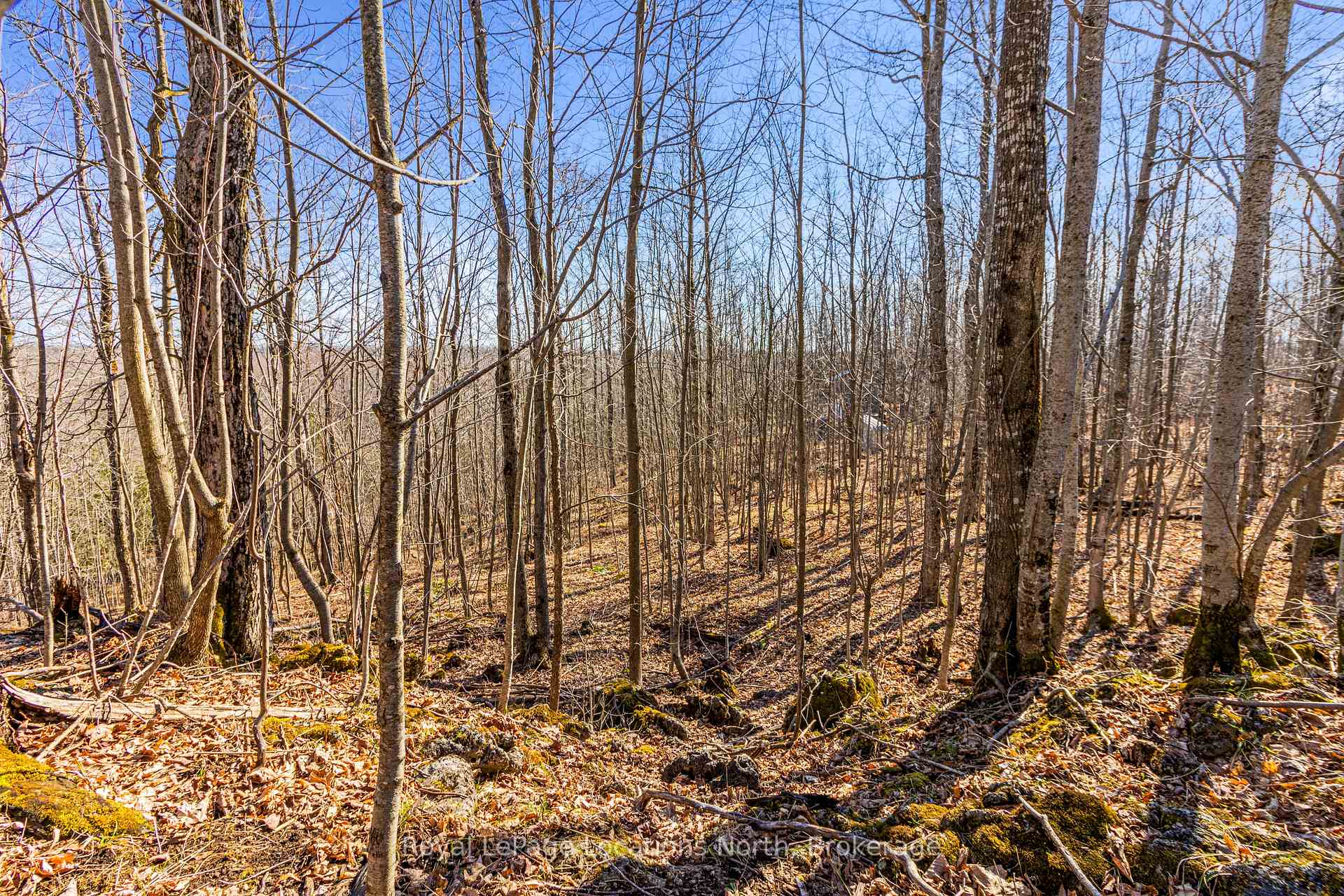Photo 16 of 825141 Grey Road 40, Grey Highlands — HOMEH