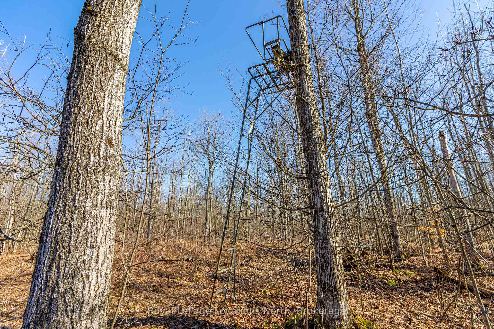 Photo 17 of 825141 Grey Road 40, Grey Highlands — HOMEH