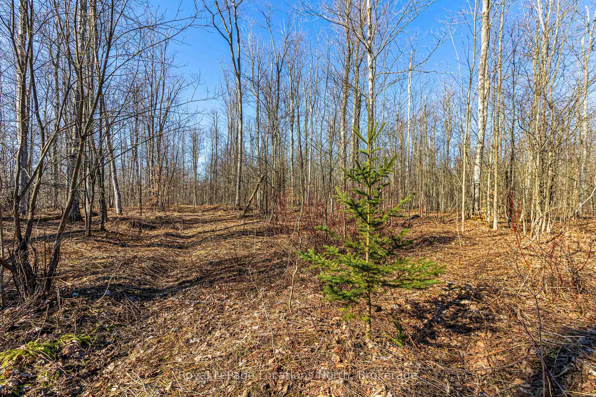 Photo 18 of 825141 Grey Road 40, Grey Highlands — HOMEH