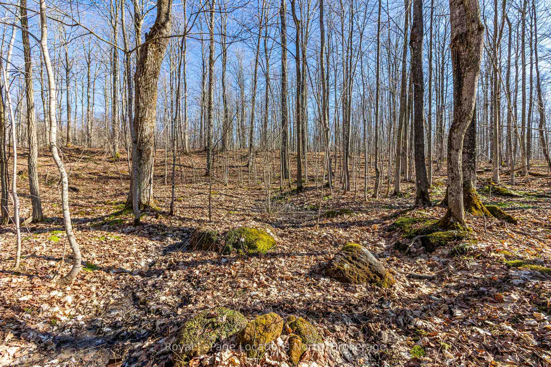 Photo 19 of 825141 Grey Road 40, Grey Highlands — HOMEH