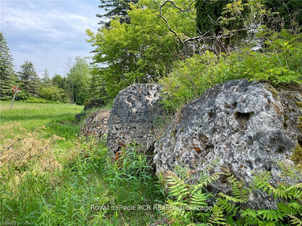 Photo 8 of 7 Flaherty Lane, Caledon, Rural Caledon — HOMEH