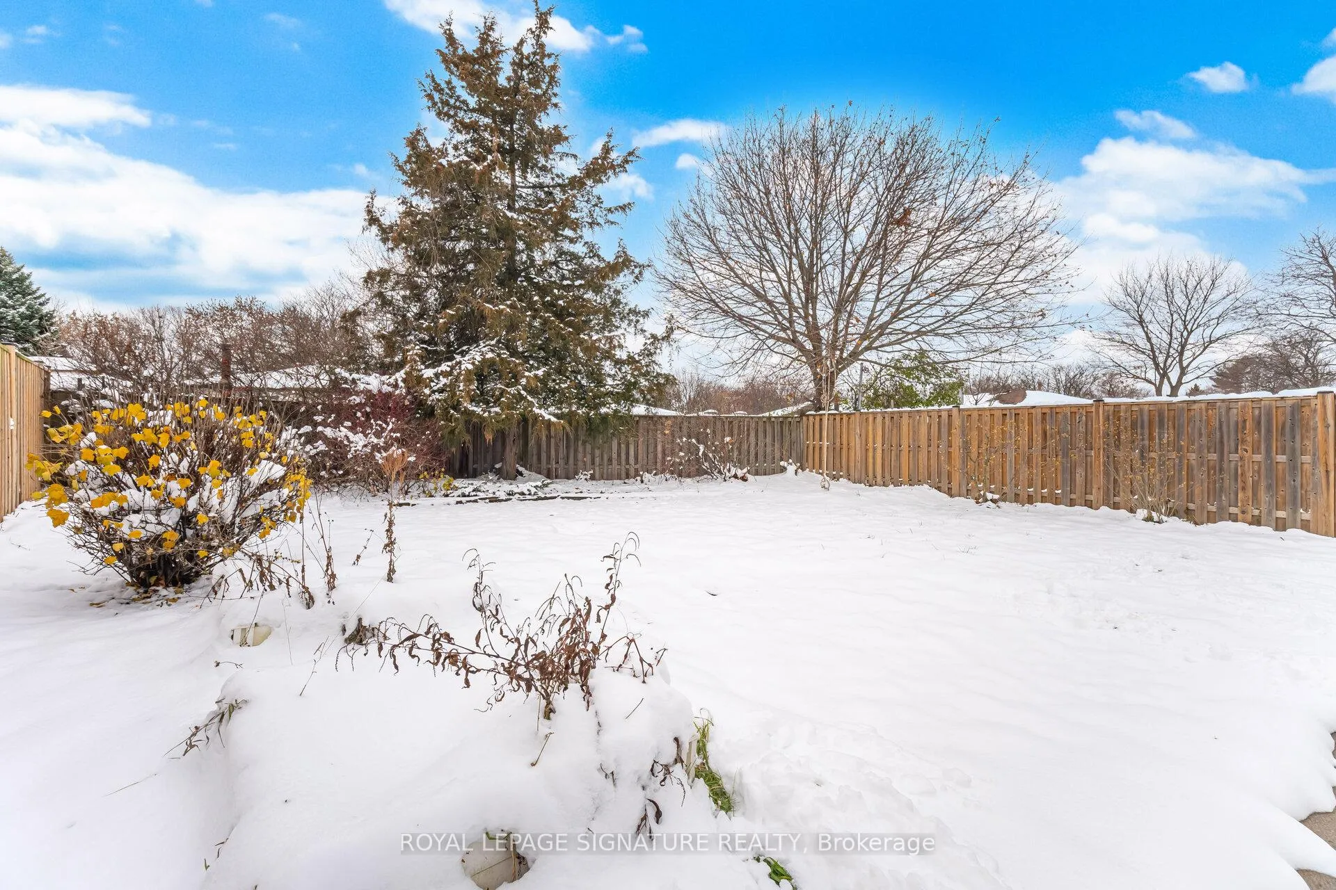 Photo 35 of 26 Graywood Road, Hamilton, Gourley — HOMEH