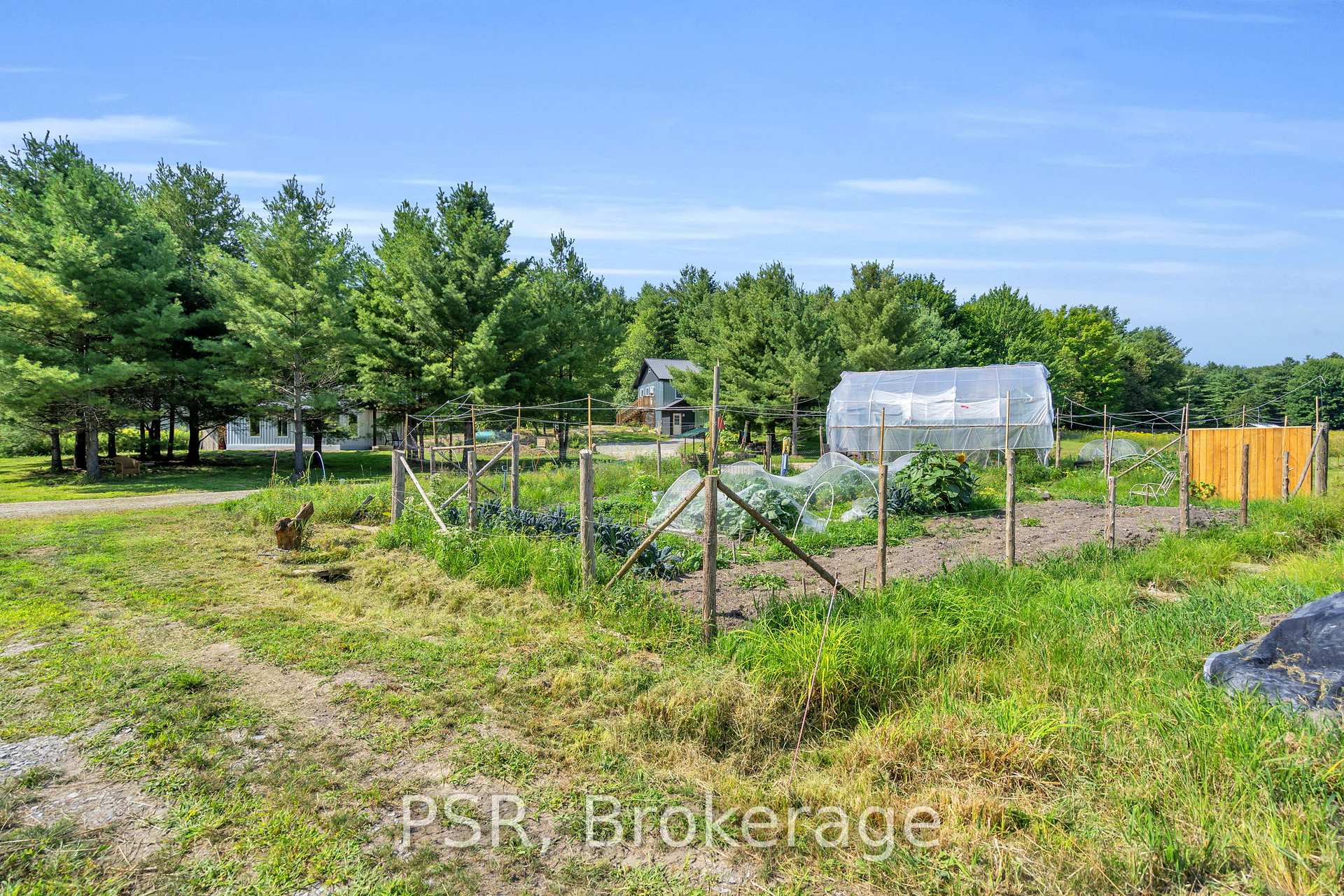Photo 35 of 1184 Graham Road, Gravenhurst, Morrison — HOMEH