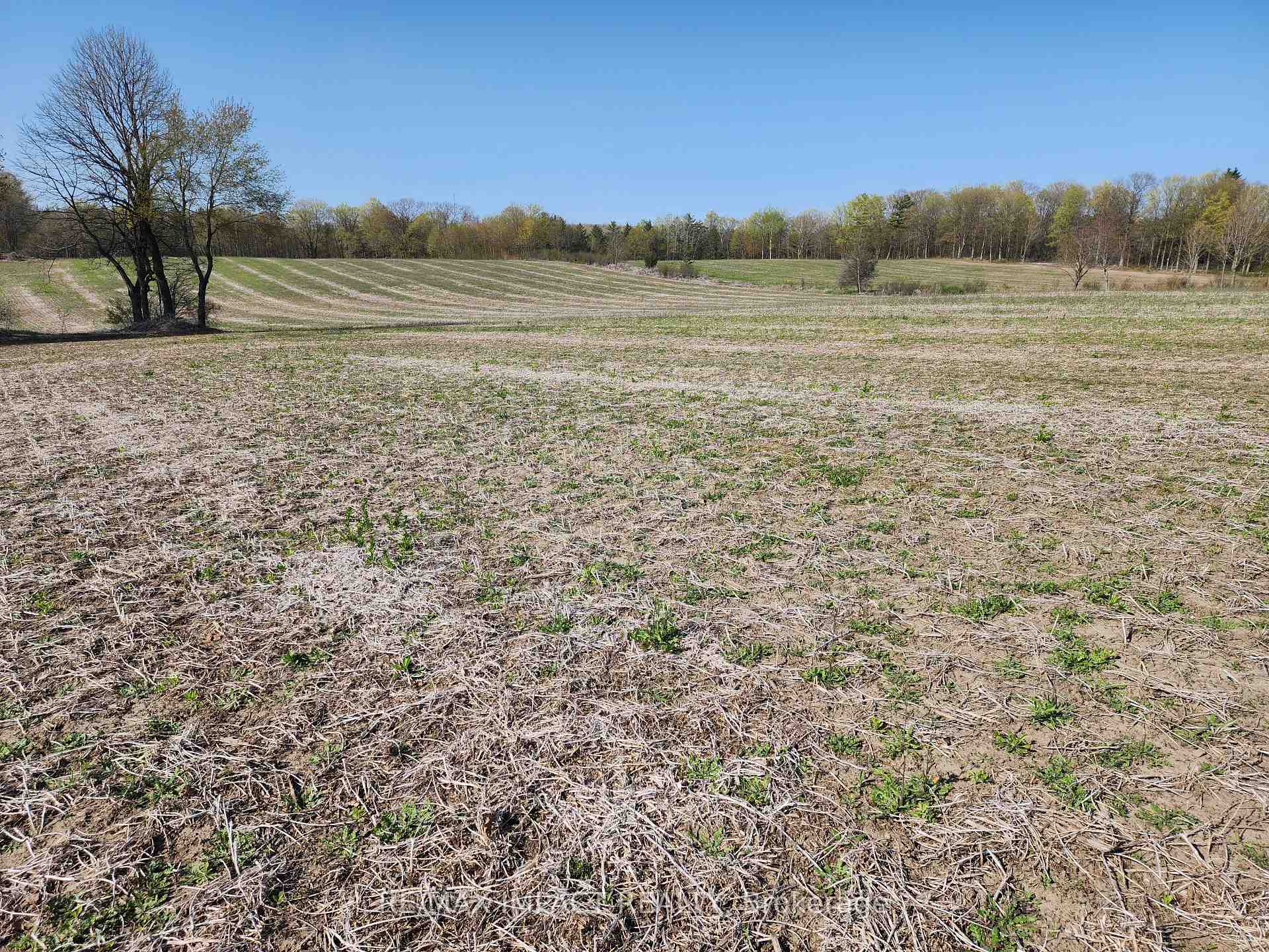 Photo 7 of 3488 Skelding Road, Clarington, Rural Clarington — HOMEH