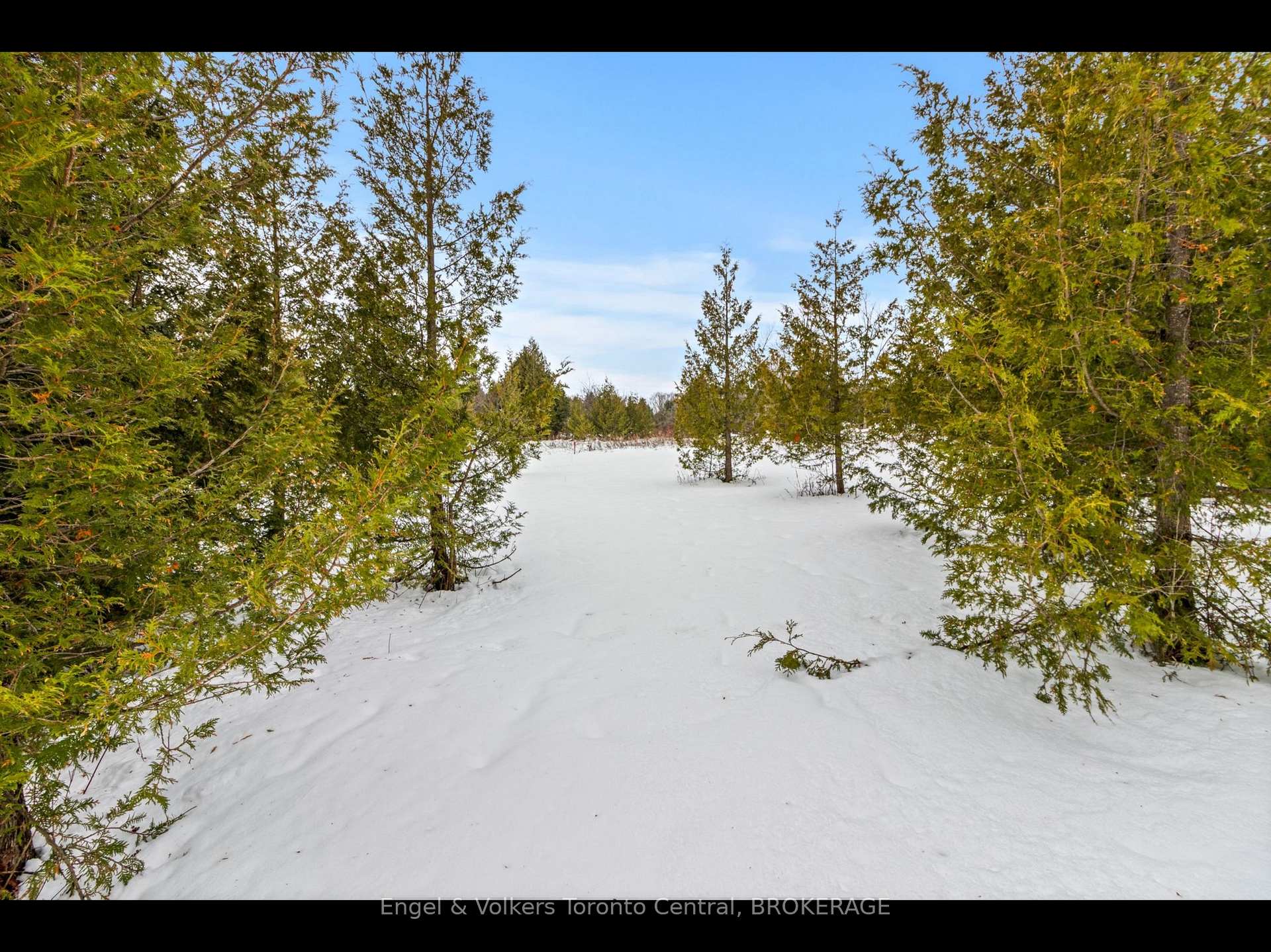 Photo 8 of 429570 8th B Concession Road, Grey Highlands — HOMEH
