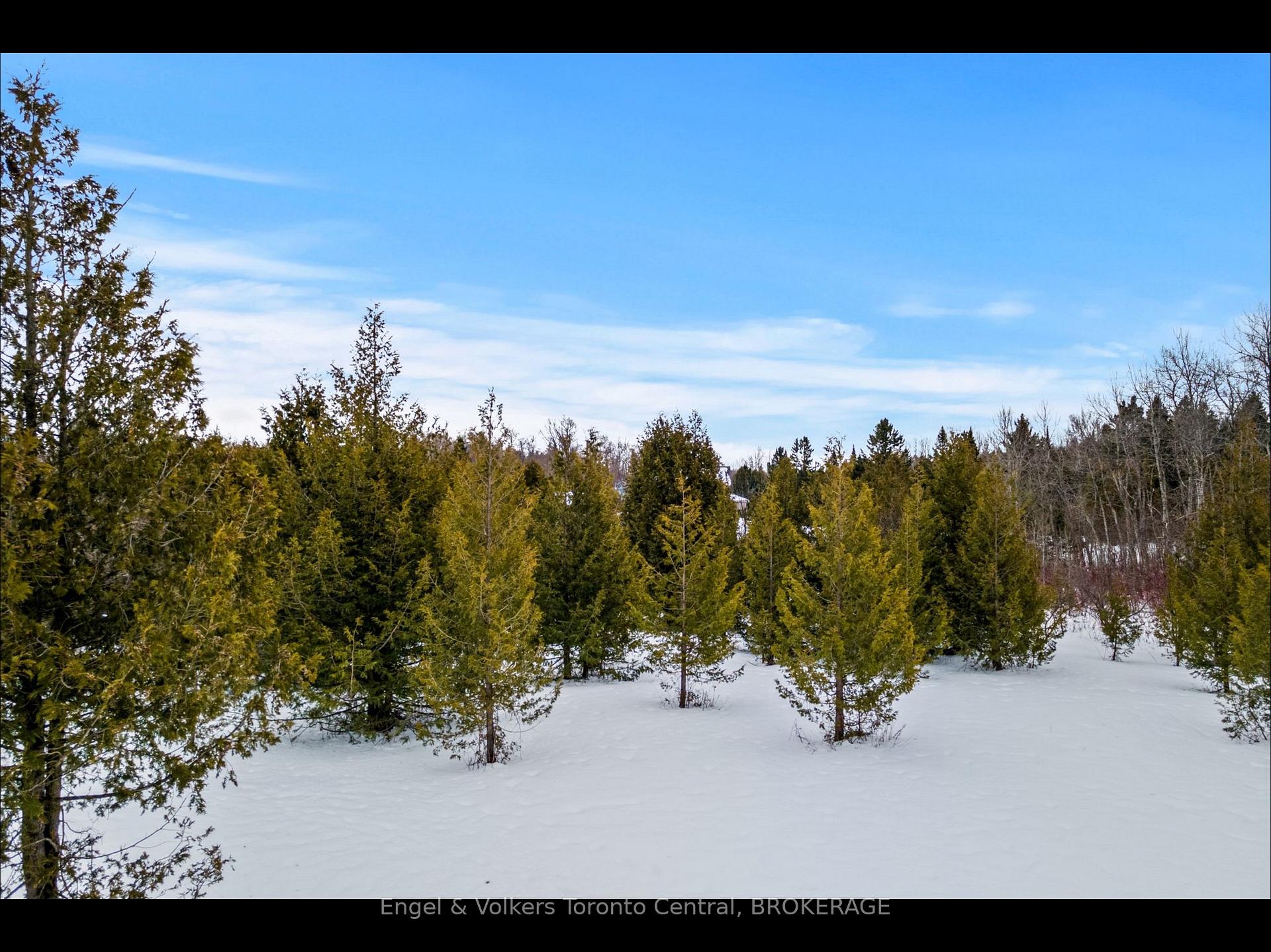 Photo 11 of 429570 8th B Concession Road, Grey Highlands — HOMEH