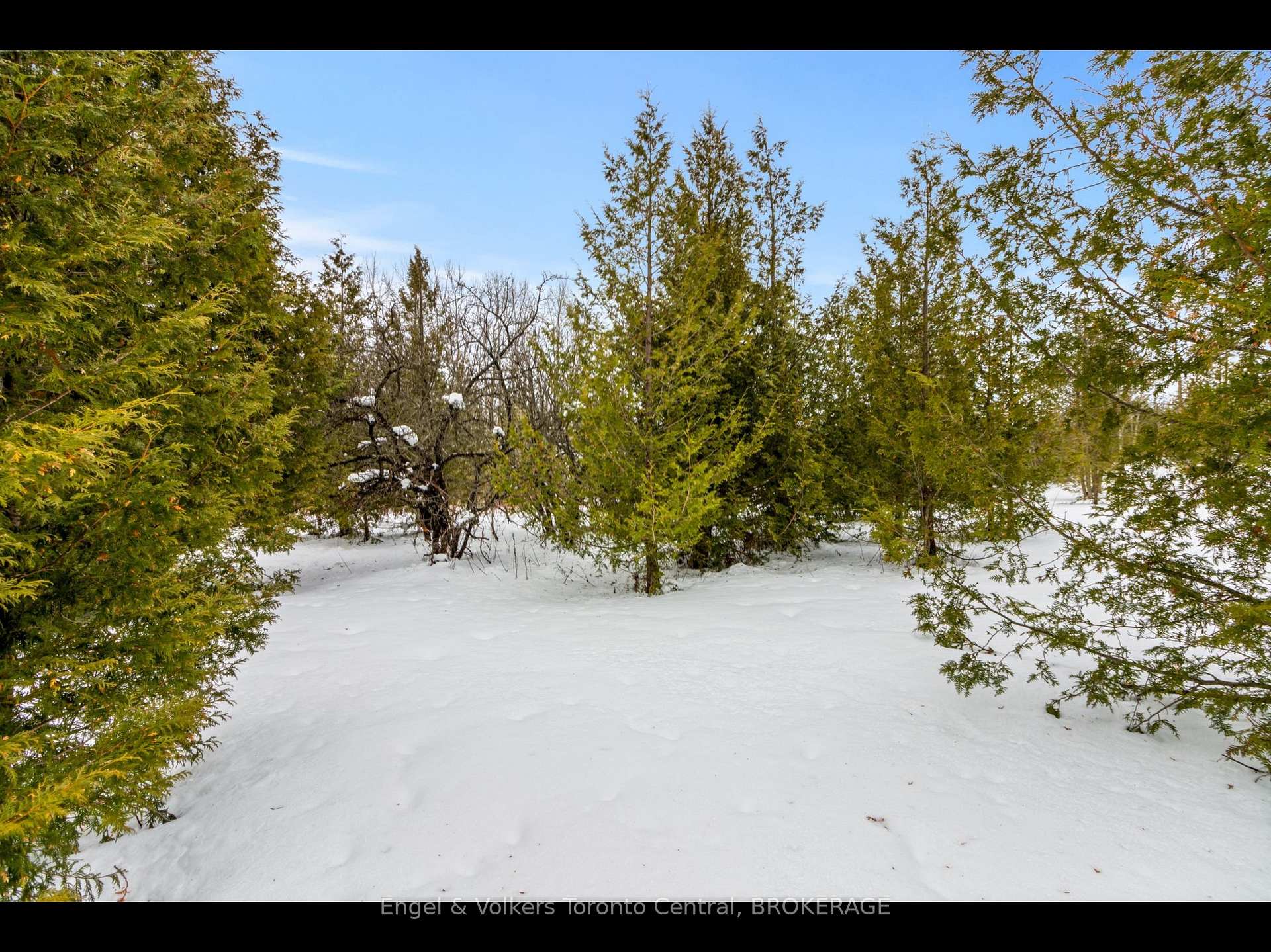 Photo 12 of 429570 8th B Concession Road, Grey Highlands — HOMEH