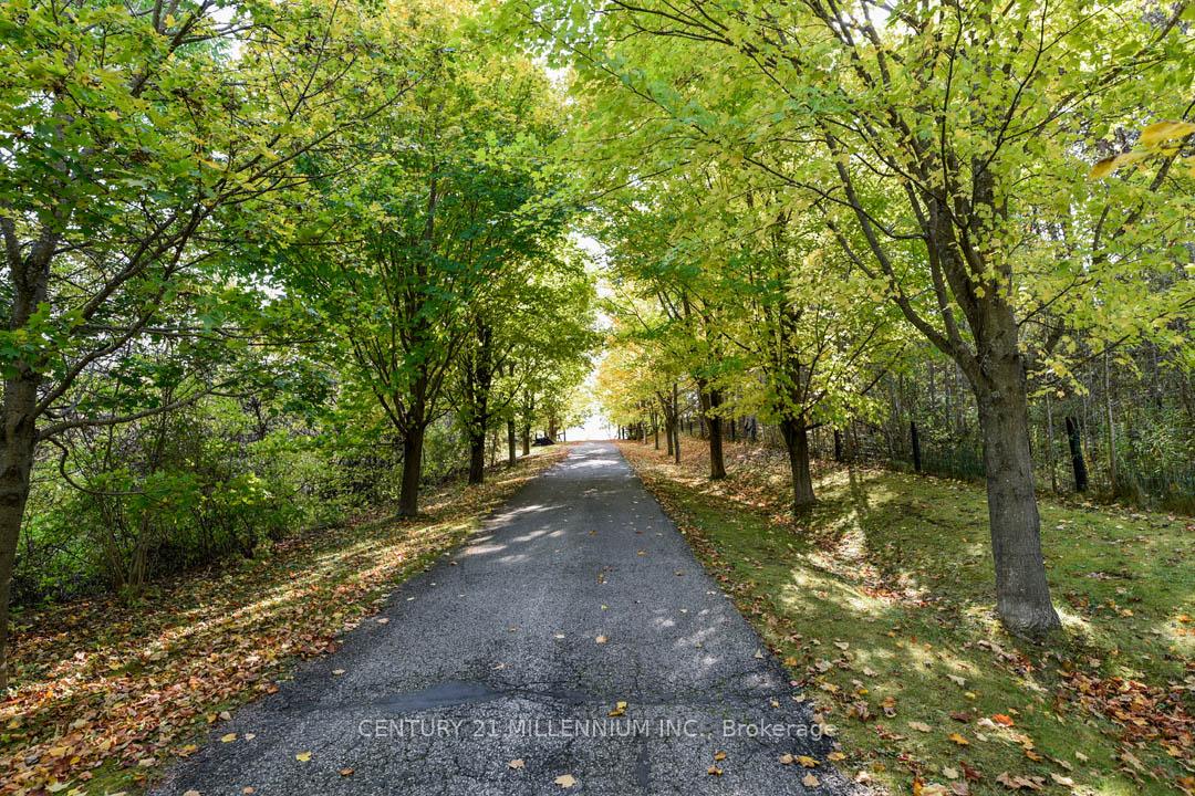 Photo 8 of 20334 Main Street, Caledon, Rural Caledon — HOMEH