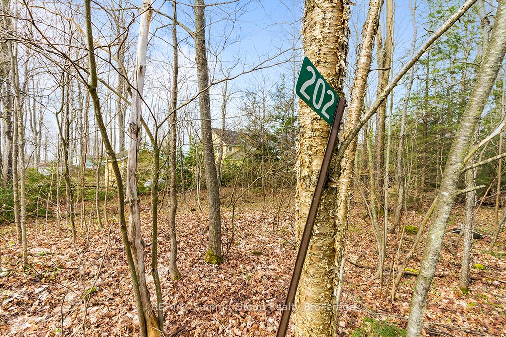 Photo 11 of 202 Lakeshore Boulevard, Grey Highlands — HOMEH