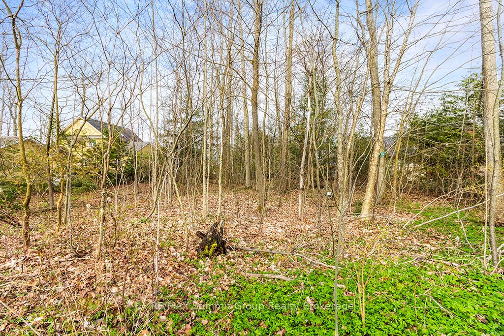 Photo 12 of 202 Lakeshore Boulevard, Grey Highlands — HOMEH