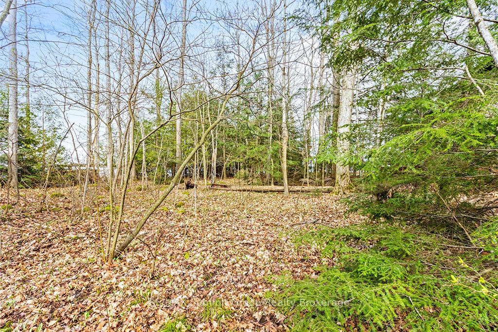 Photo 13 of 202 Lakeshore Boulevard, Grey Highlands — HOMEH