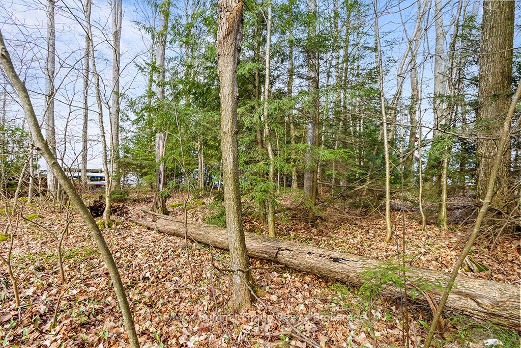 Photo 14 of 202 Lakeshore Boulevard, Grey Highlands — HOMEH