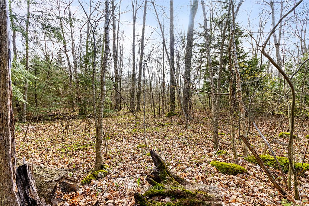Photo 15 of 202 Lakeshore Boulevard, Grey Highlands — HOMEH