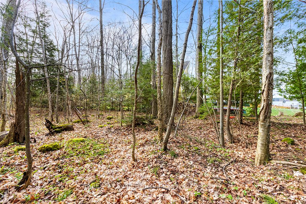 Photo 16 of 202 Lakeshore Boulevard, Grey Highlands — HOMEH